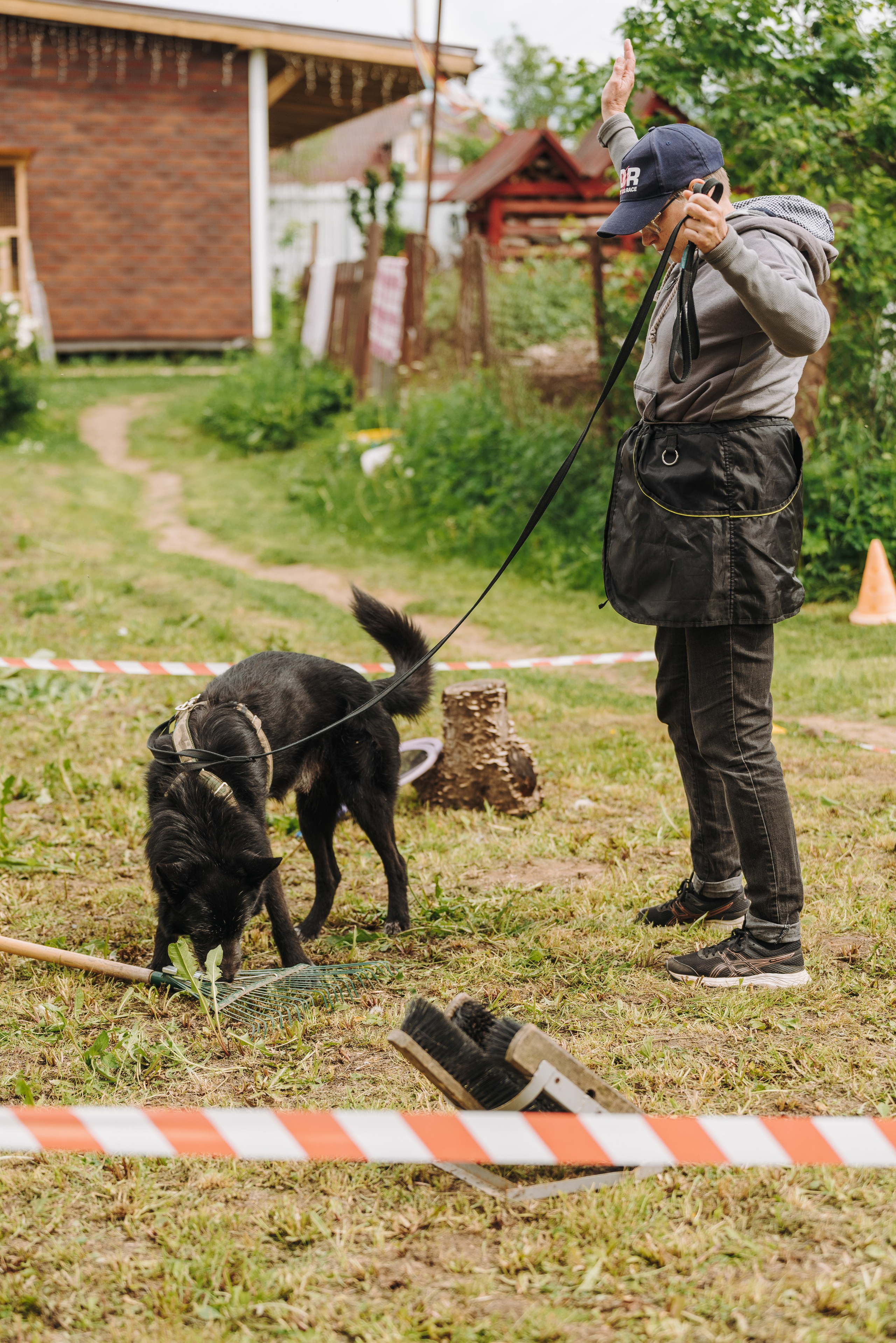 Соревнования по ноузворку. Фотограф анималист в Спб недорого Олеся Майорова