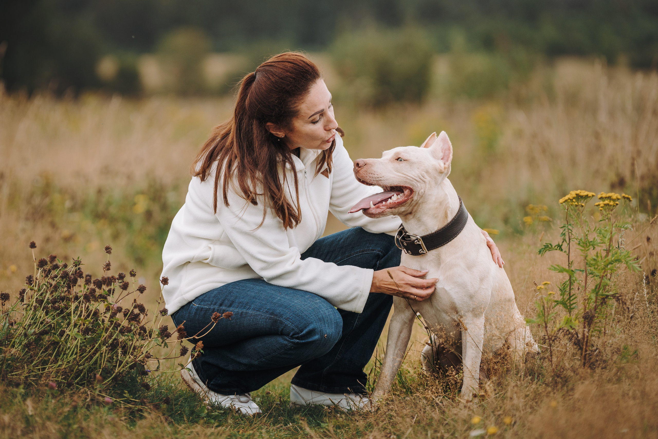 Оля и Гламур. Фотограф анималист в Спб недорого Олеся Майорова