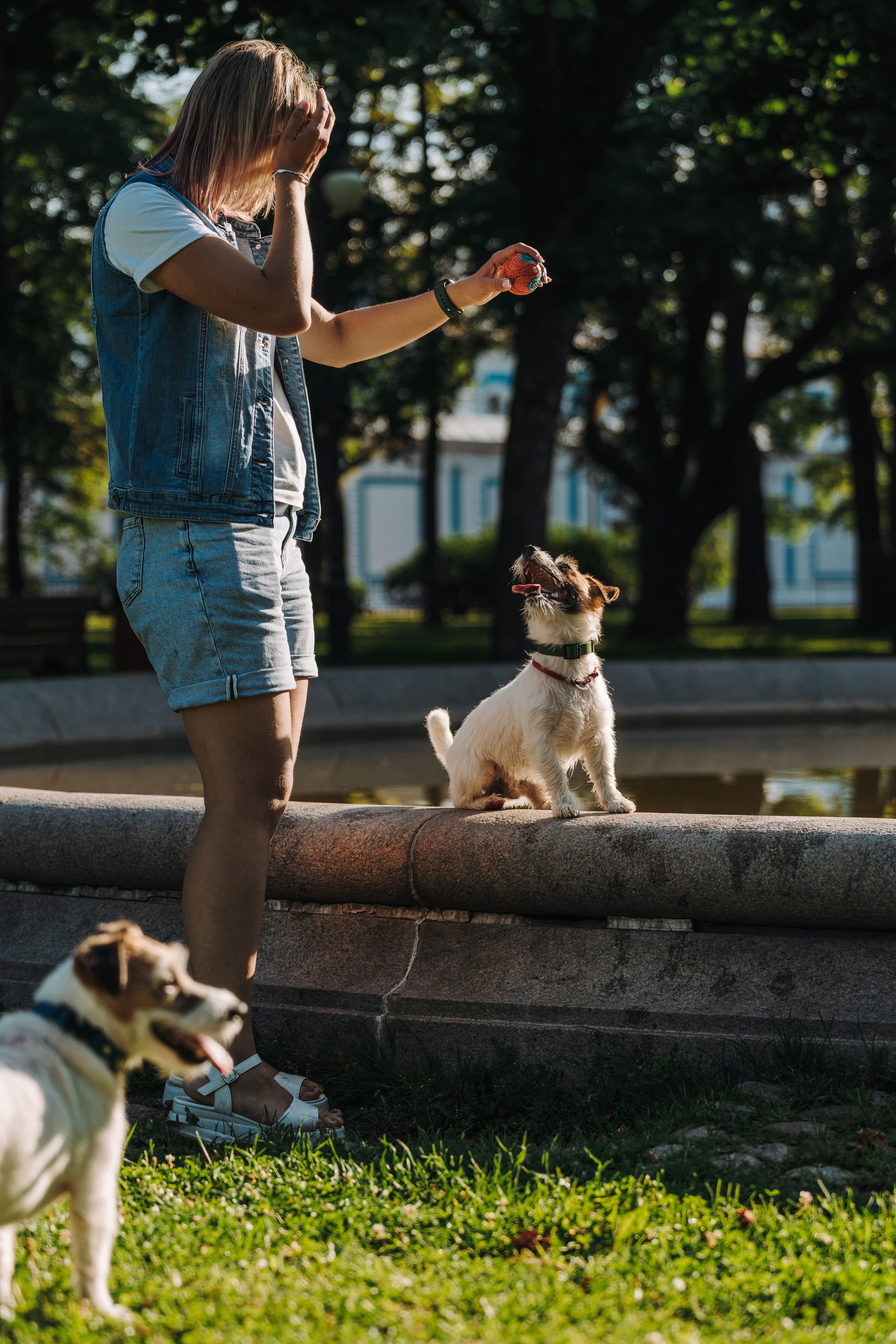 Ларс, Лукас и Ольга. Фотограф анималист в Спб недорого Олеся Майорова