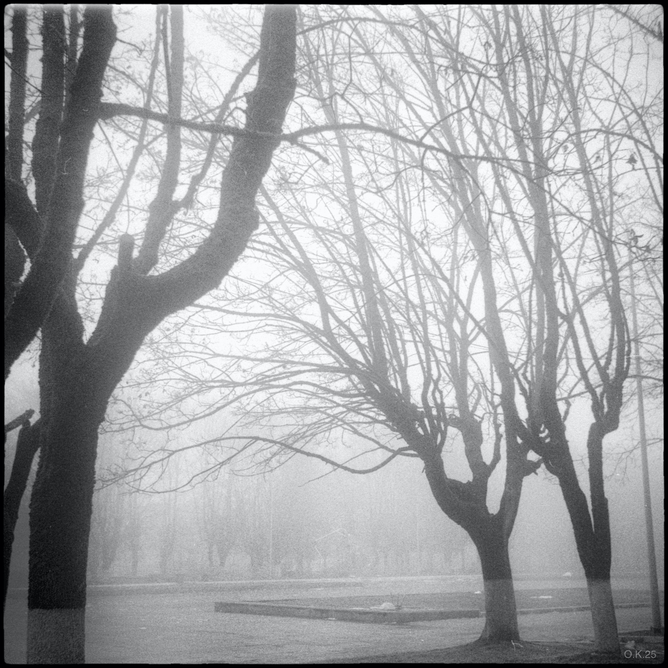 Пленочная фотография Олег Кузнецов. Artkapella|Олег Кузнецов