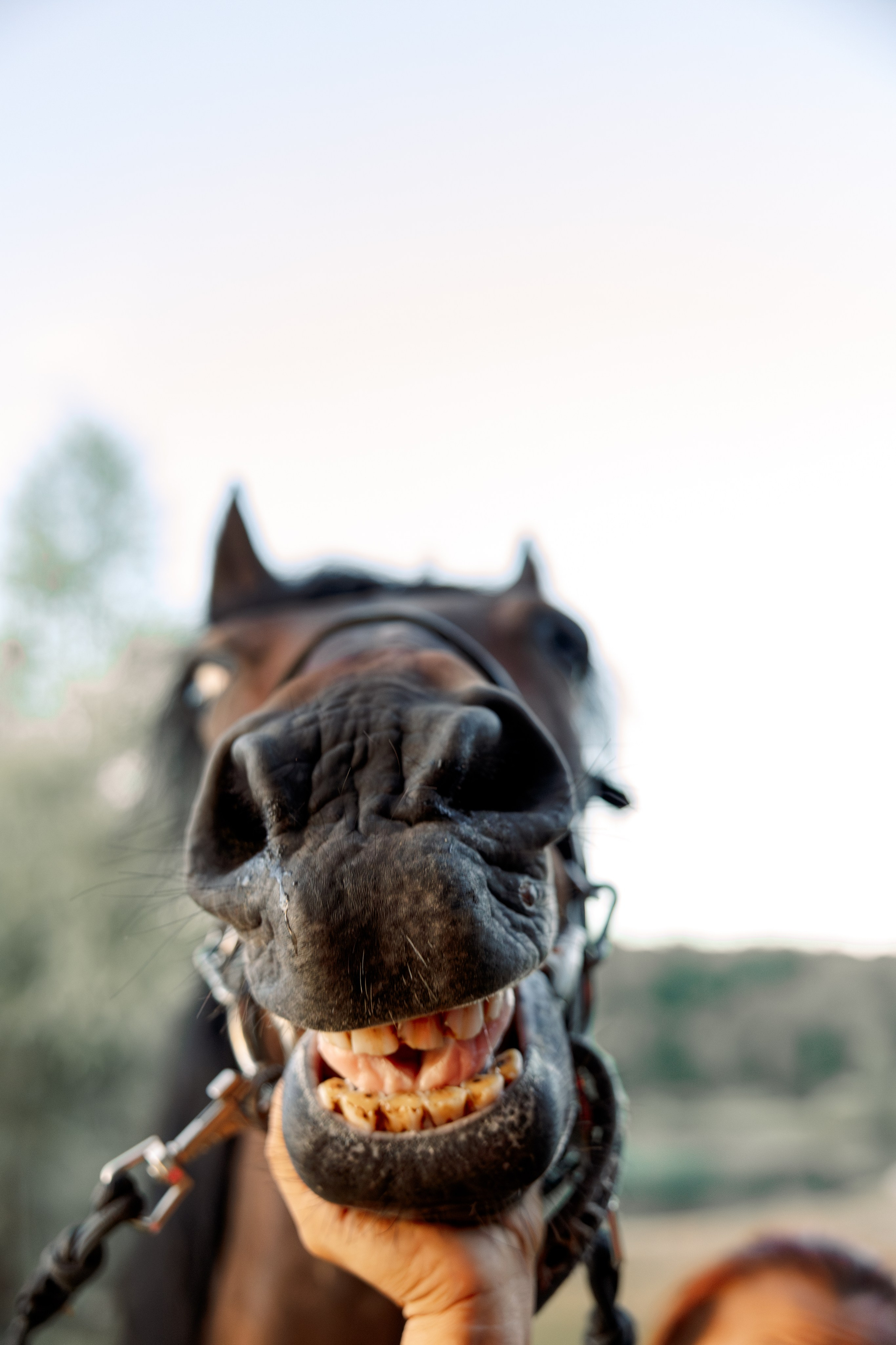 Женская фотосессия в Казани. Фотограф в Казани Ольга Яшина