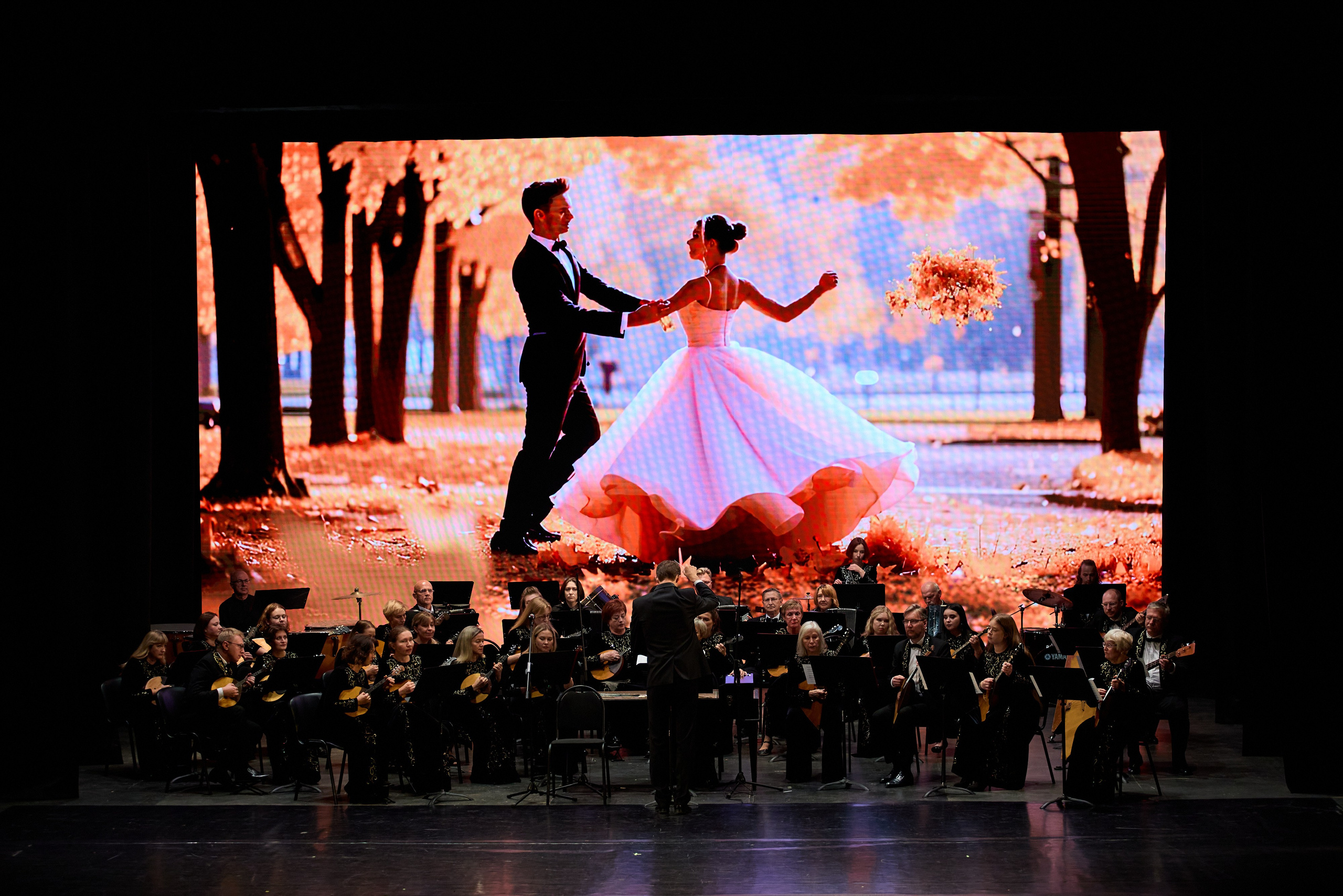 Филармония «Вокруг света в ритме танца». Фотограф Илья Прохоров в Кирове