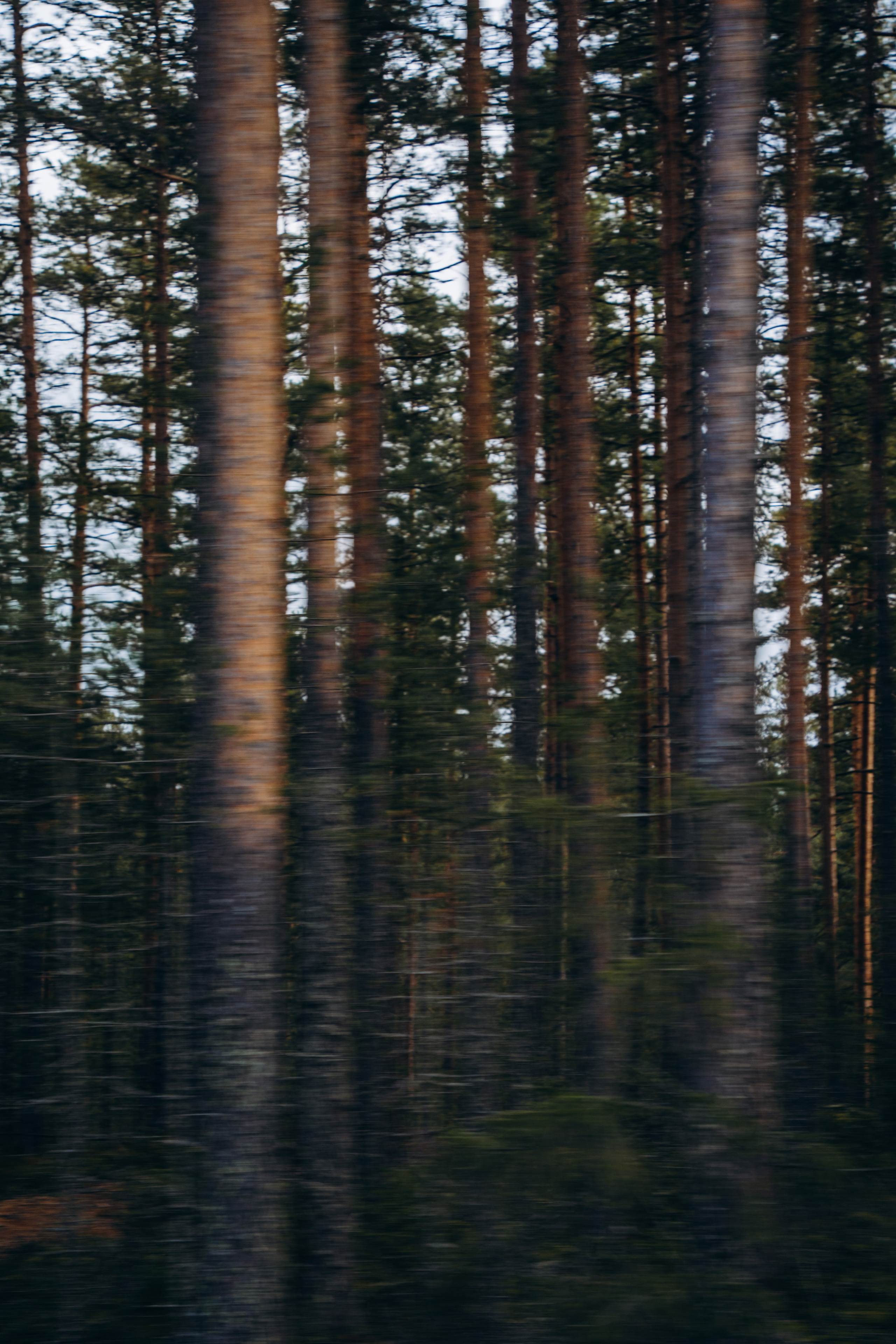 СЕВЕР. Event фотограф Степанова Александра