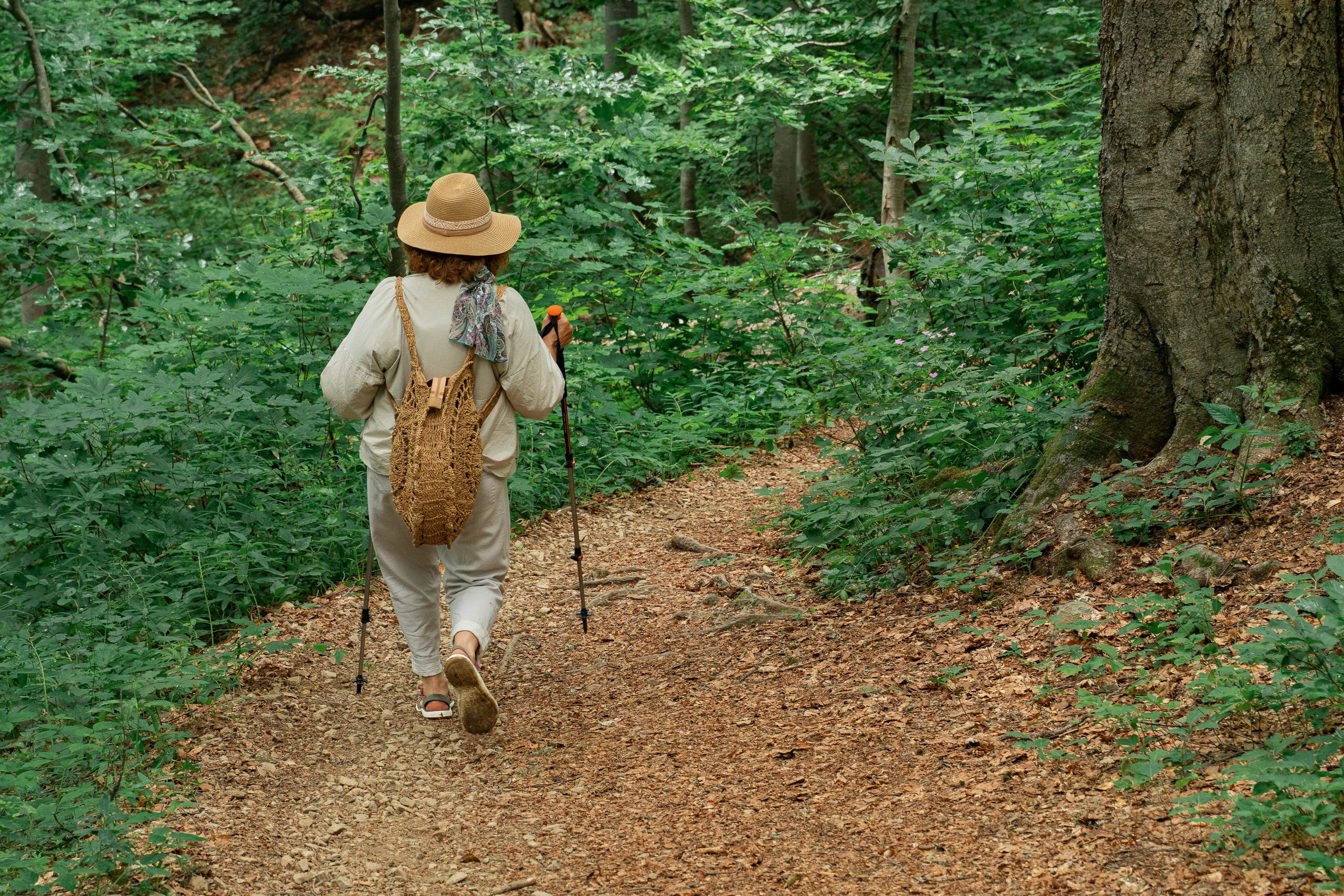 Психологический тренинг на озере Зеркальное. Репортажный фотограф в Красной Поляне и Сочи Павлюченко Екатерина