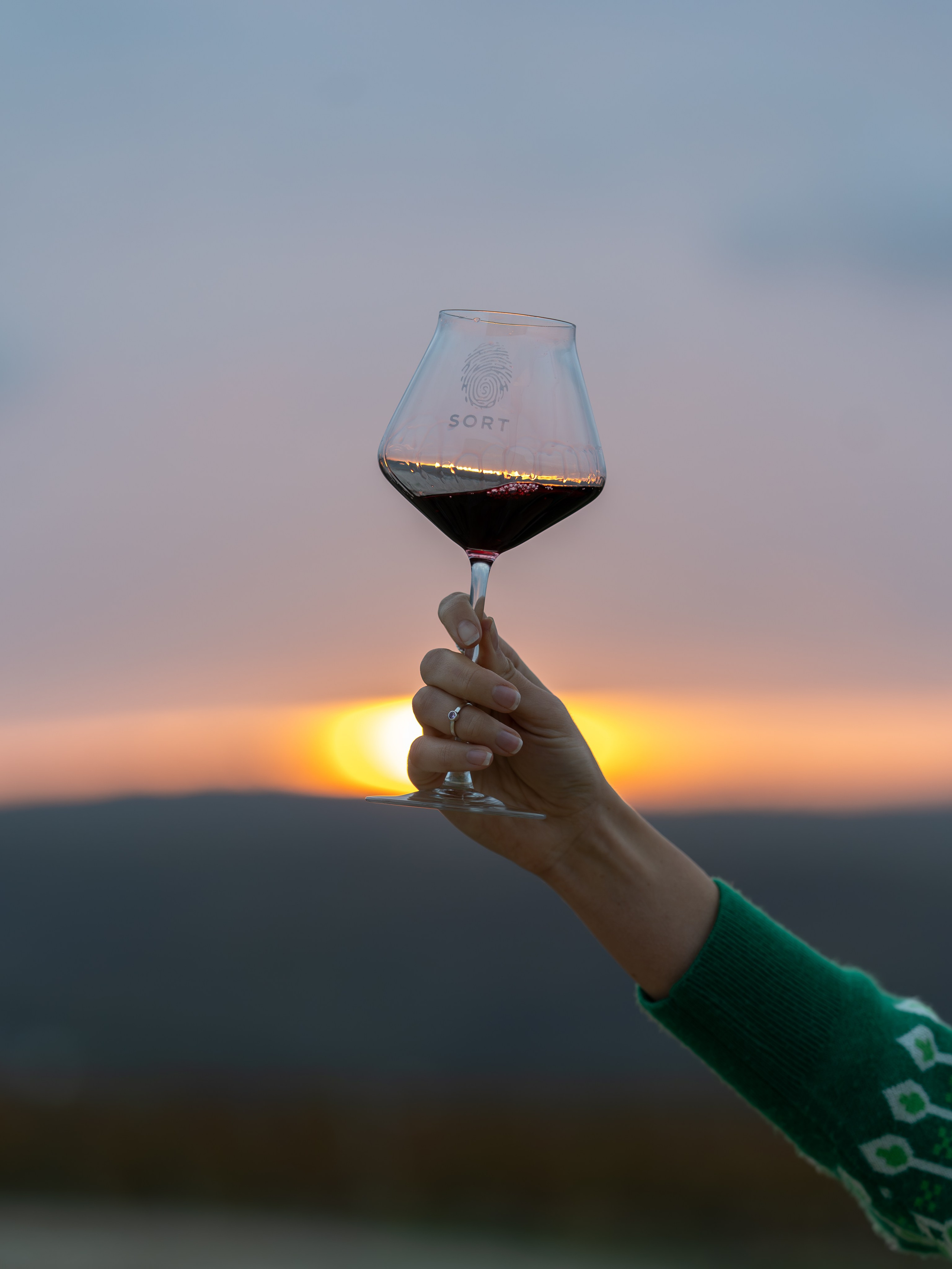 Литературная мастерская с Ольгой Шутовой в «Винотеррии». Репортажный фотограф в Красной Поляне и Сочи Павлюченко Екатерина