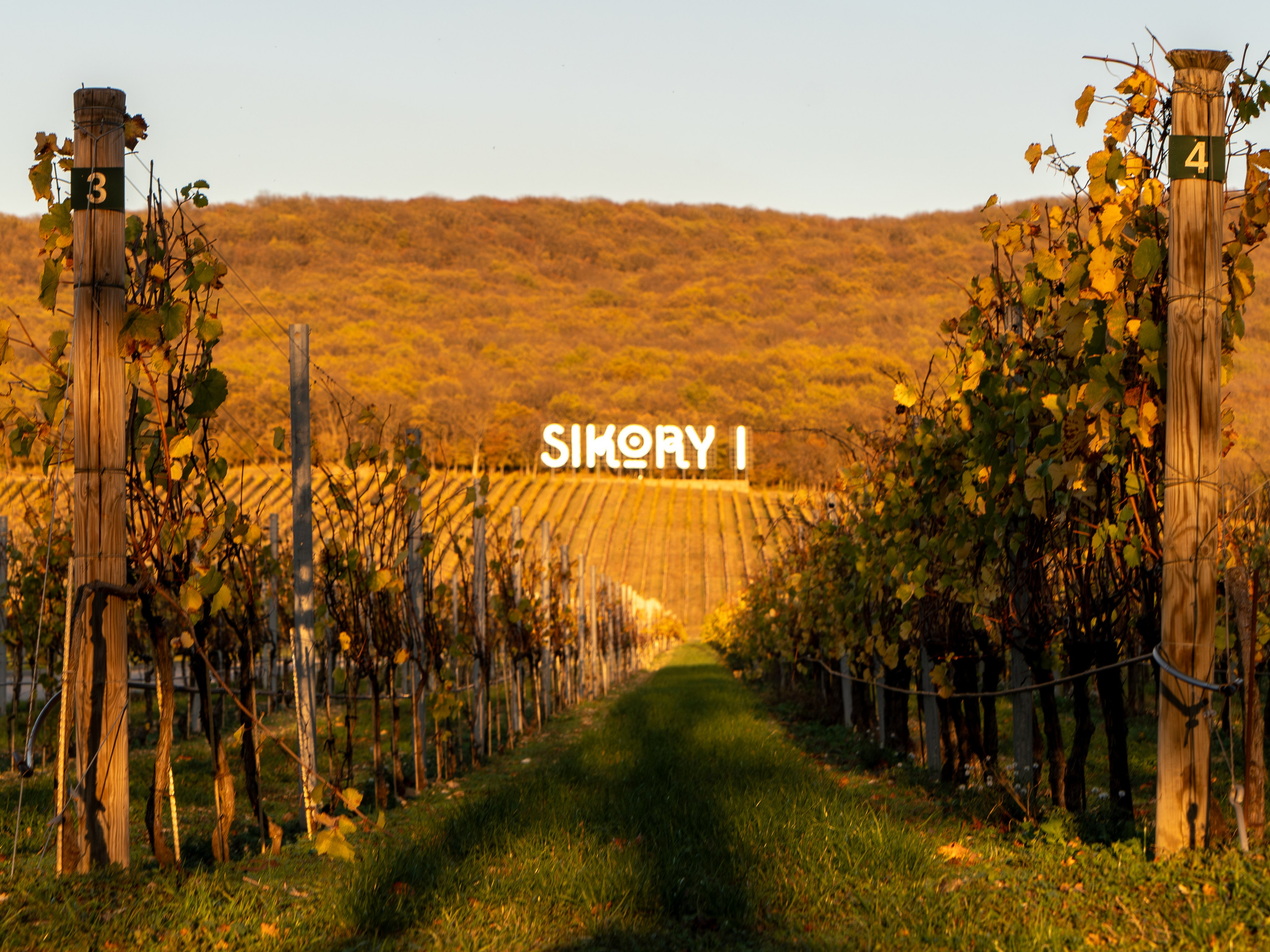 Литературная мастерская с Ольгой Шутовой в «Винотеррии». Репортажный фотограф в Красной Поляне и Сочи Павлюченко Екатерина