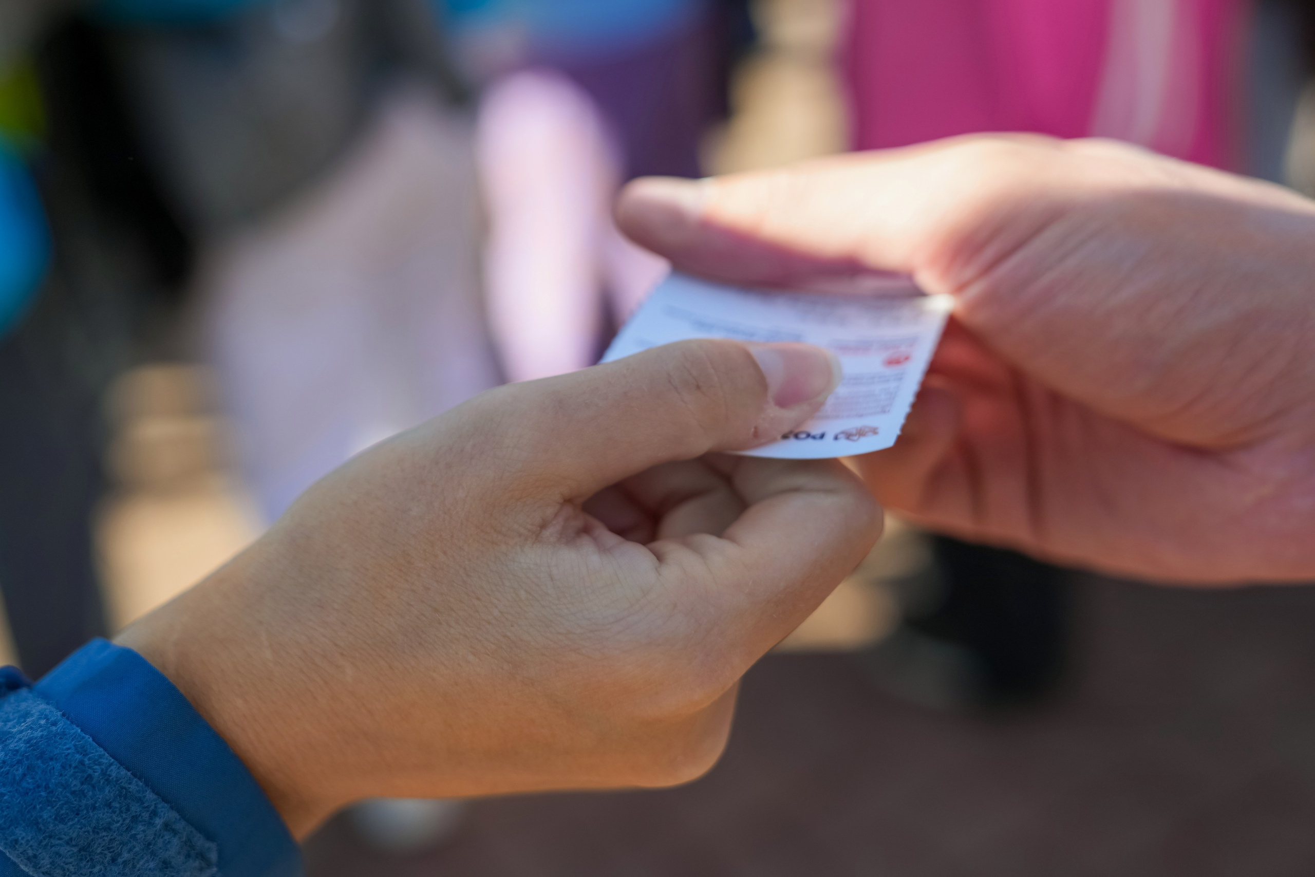 ChinaRosaFest 2024. Репортажный фотограф в Красной Поляне и Сочи Павлюченко Екатерина