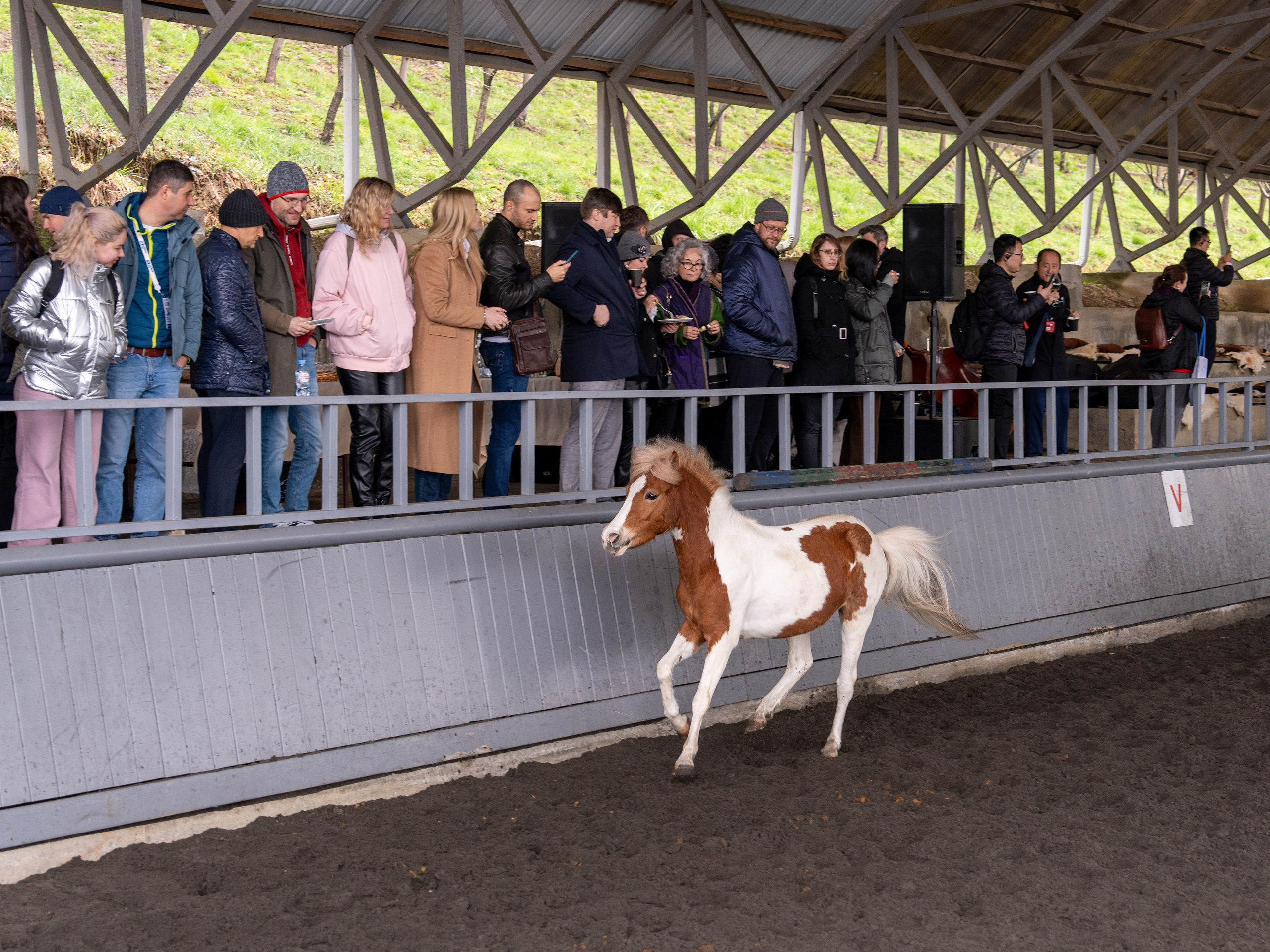 MICE мероприятие на ферме Экзархо. Репортажный фотограф в Красной Поляне и Сочи Павлюченко Екатерина