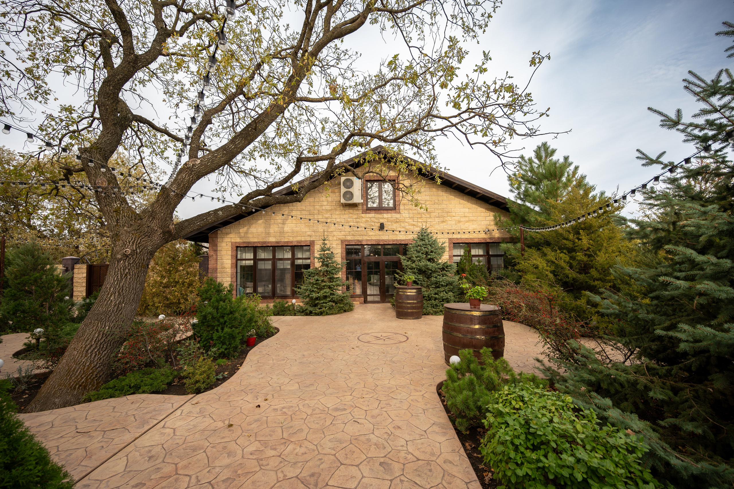 Литературная мастерская с Ольгой Шутовой в «Винотеррии». Репортажный фотограф в Красной Поляне и Сочи Павлюченко Екатерина