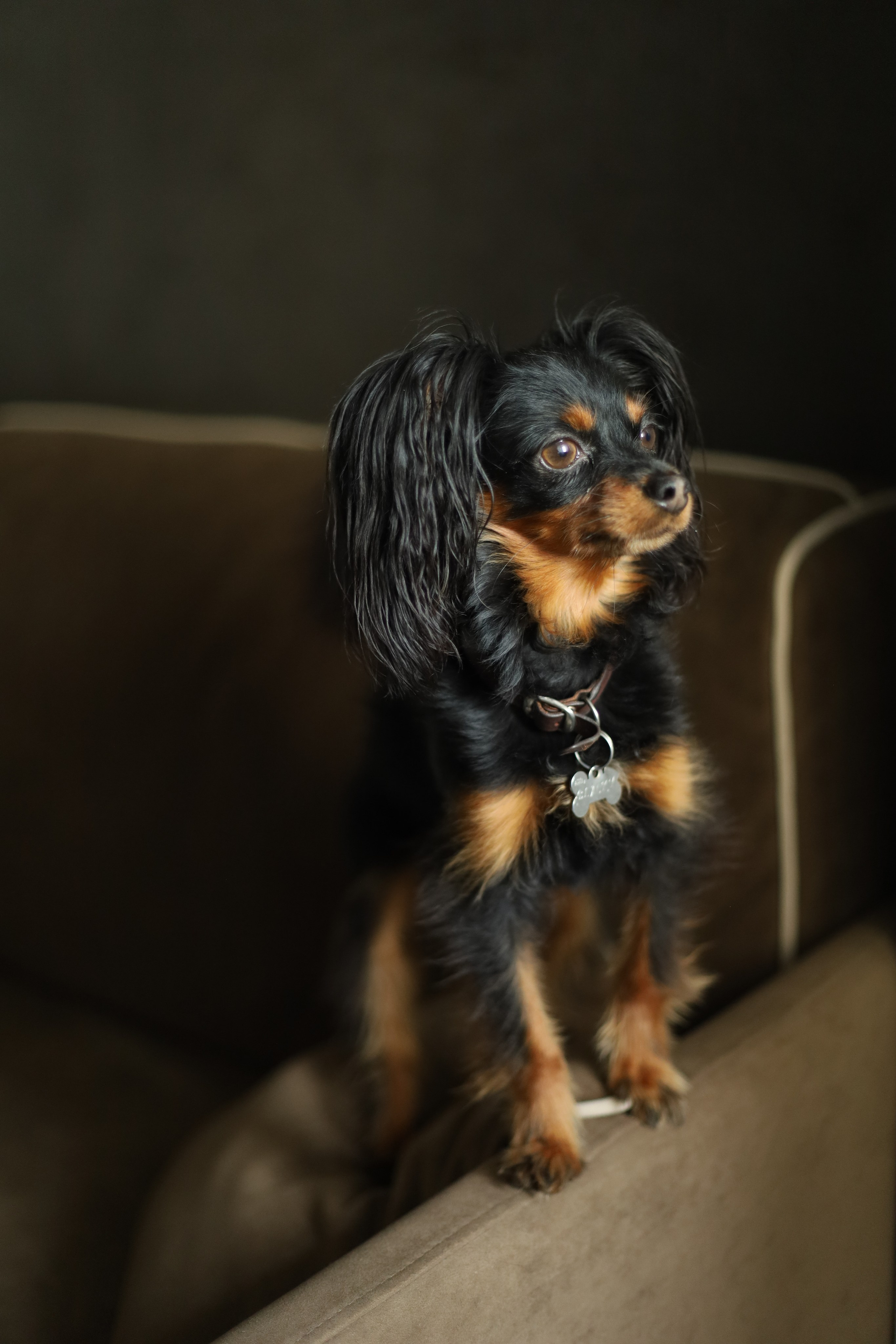 Фотосессии. Фотограф и Видеограф