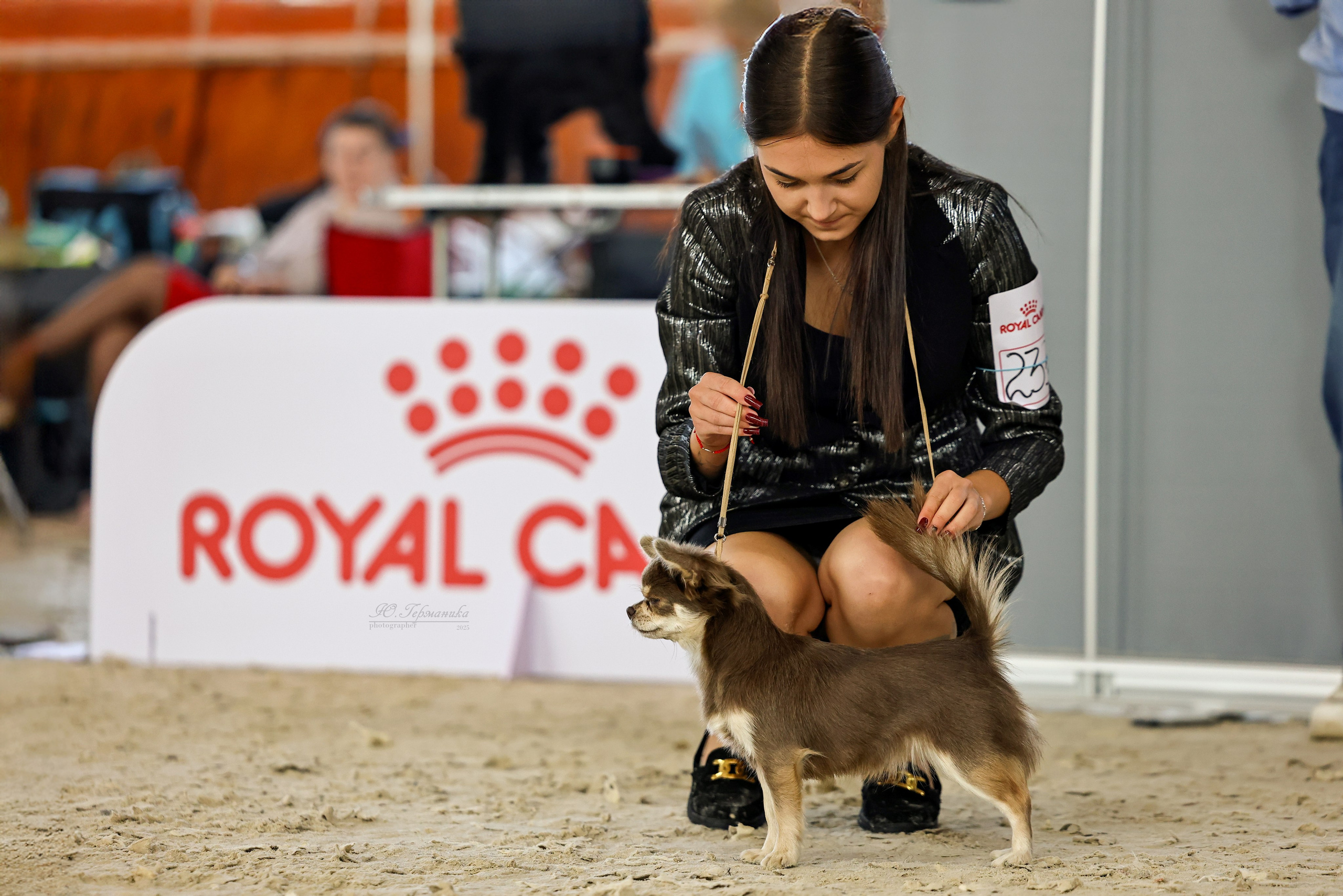 Астана 2хCACIB 26-28.09.2025. Фотограф-анималист Юлия Германика