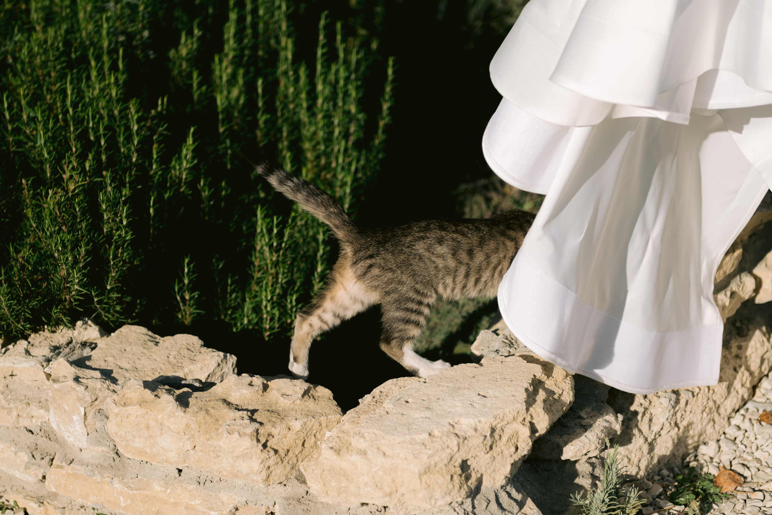 Ekaterina & Ivan. Свадебный фотограф в Краснодаре