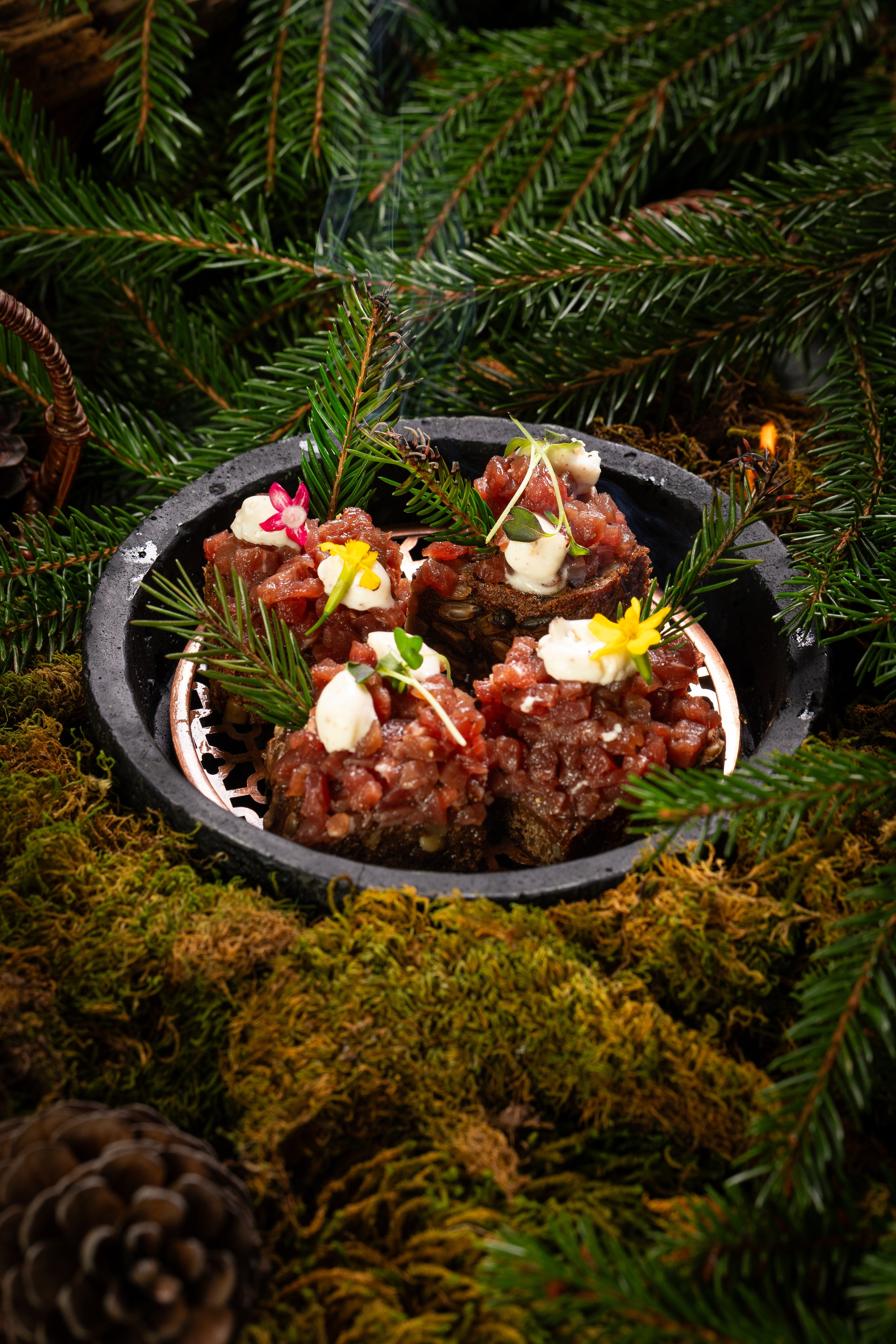 Тар-тар на красивой тарелке. Лесная композиция со мхом и лесными ветками. 