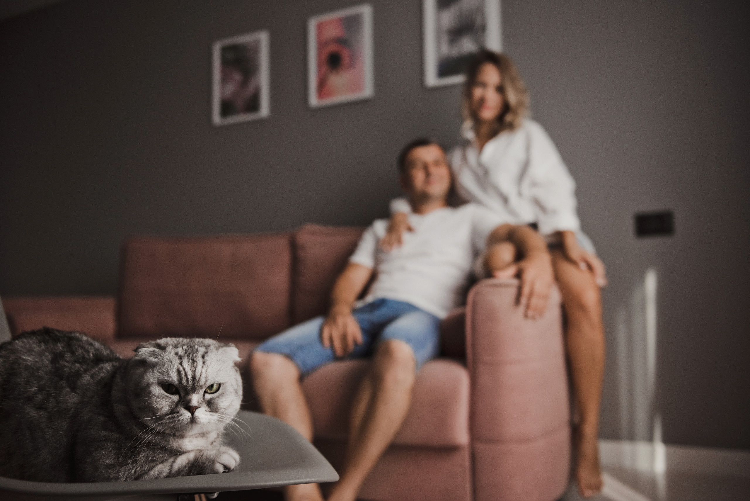 Женя и Лена. Домашняя фотосессия для двоих (и кота). Свадебный и семейный фотограф в Воронеже Алёна Пшеничная