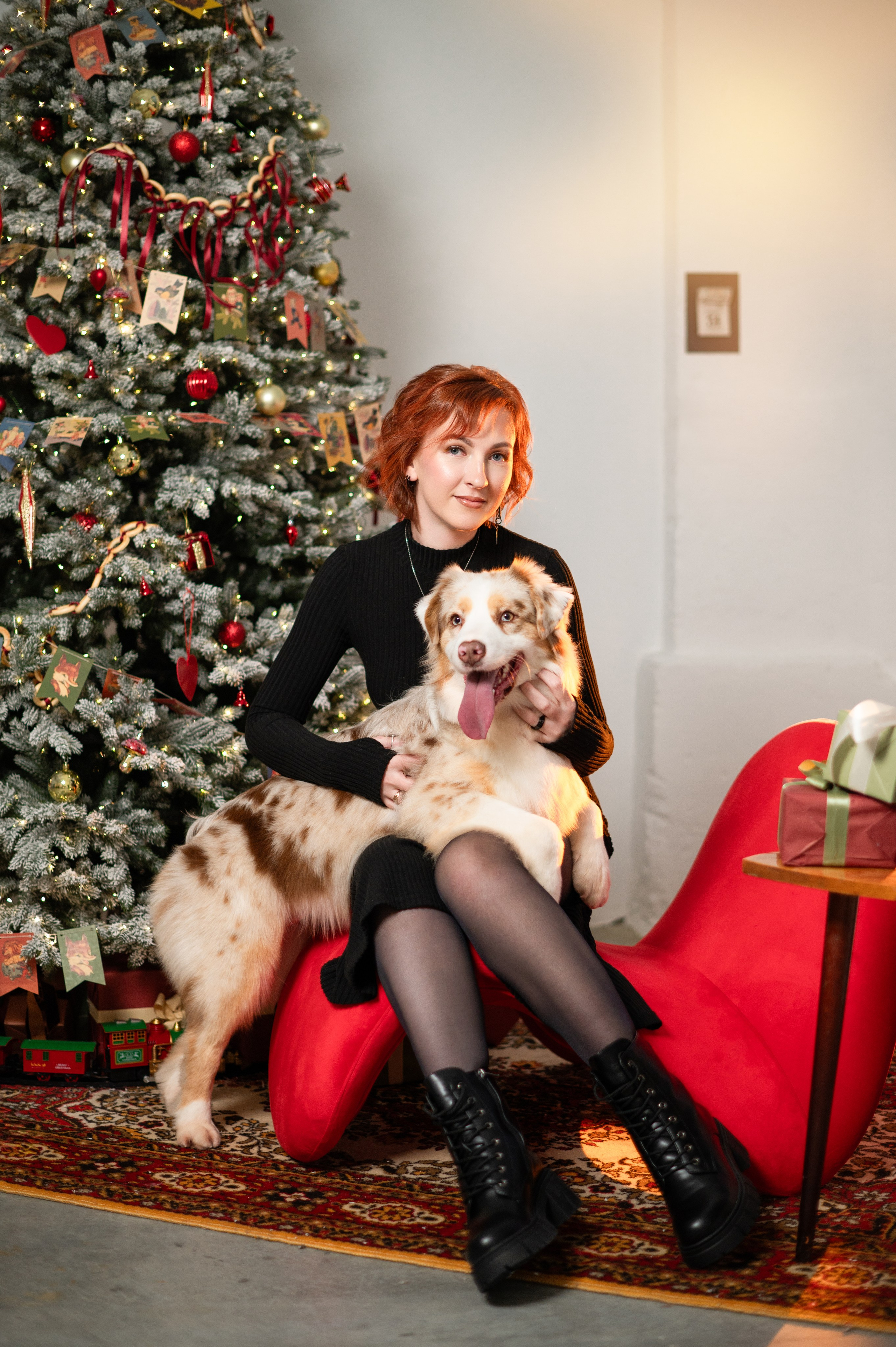 Фотодень с Австралийской овчаркой. Творческий фотограф Вологда