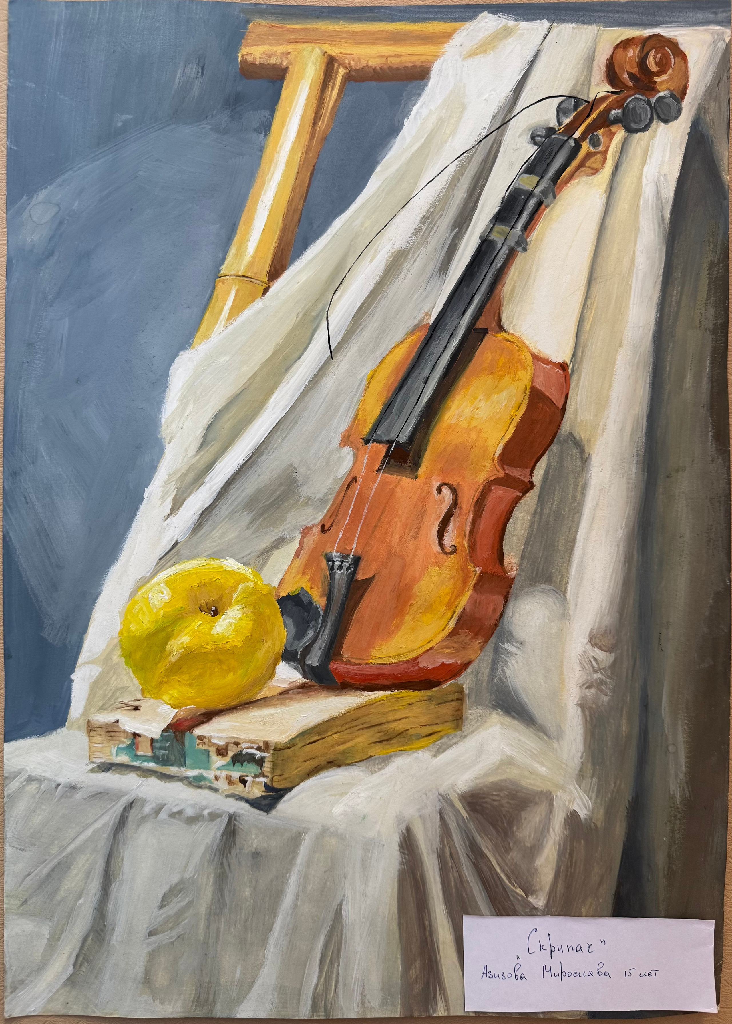 Азизова Мирослава. АНО «Центра социальных проектов «Путь в большой мир»