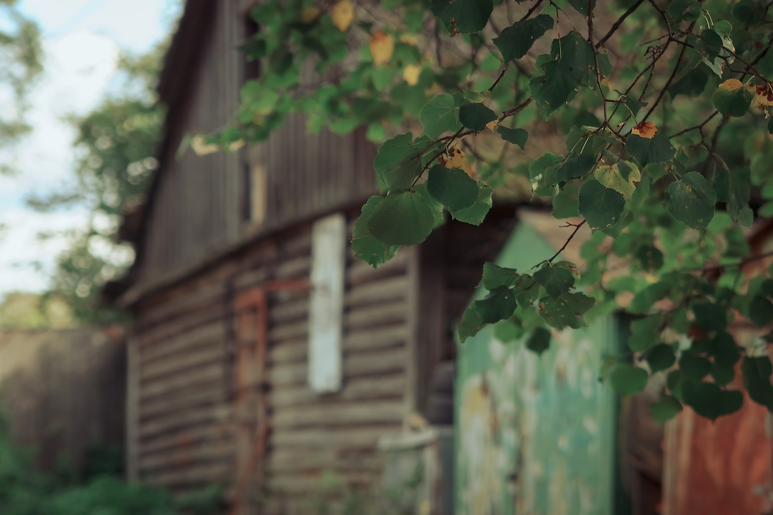 Наш Дом — Земля. Аmat Victoria Сuram