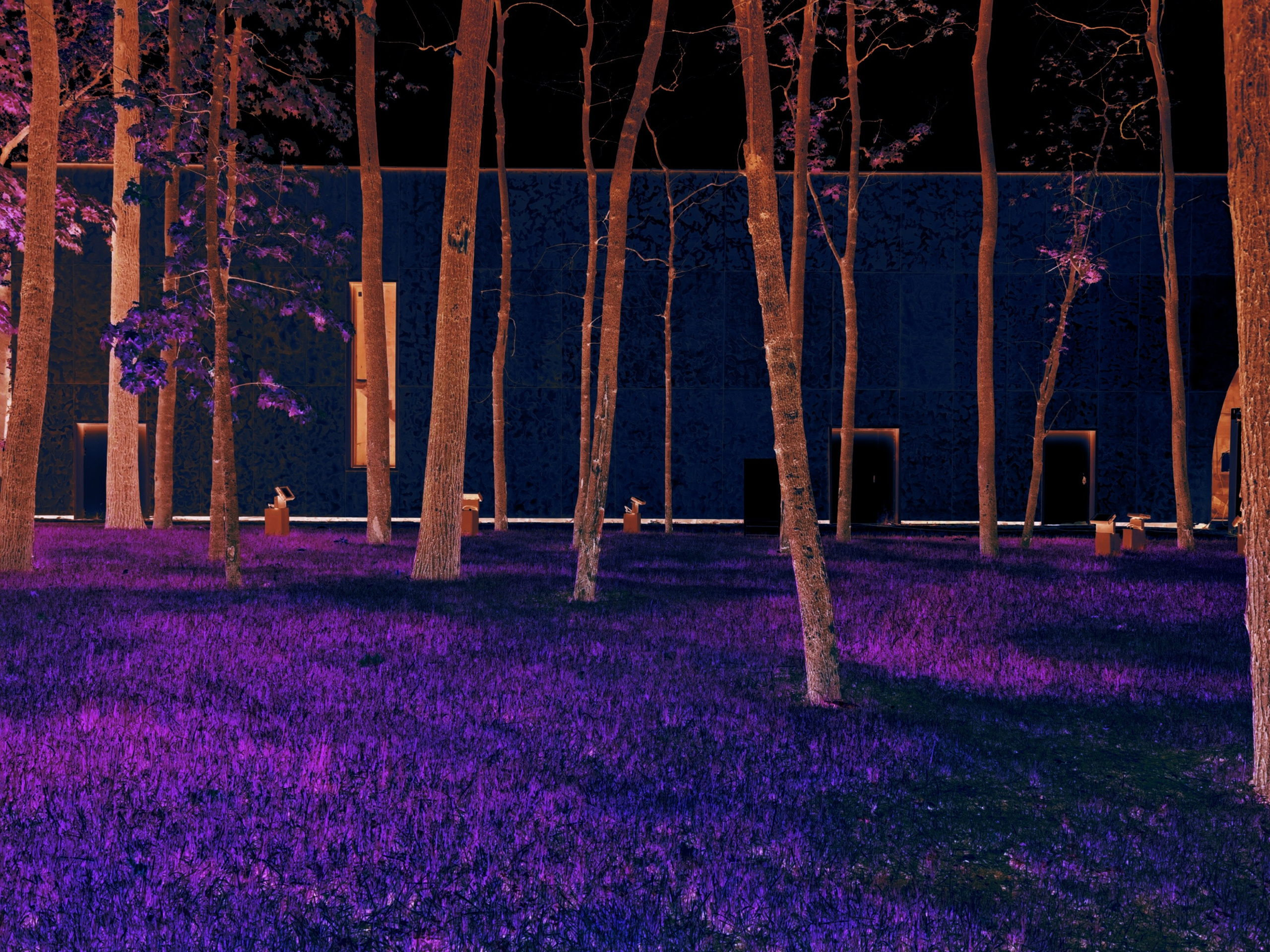 Москва — Кассиопея. E-Tsoy.com