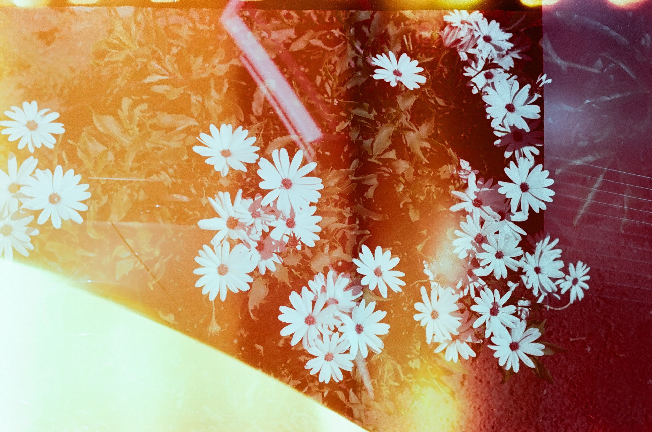 Искать. Подсвечивать. Прятать