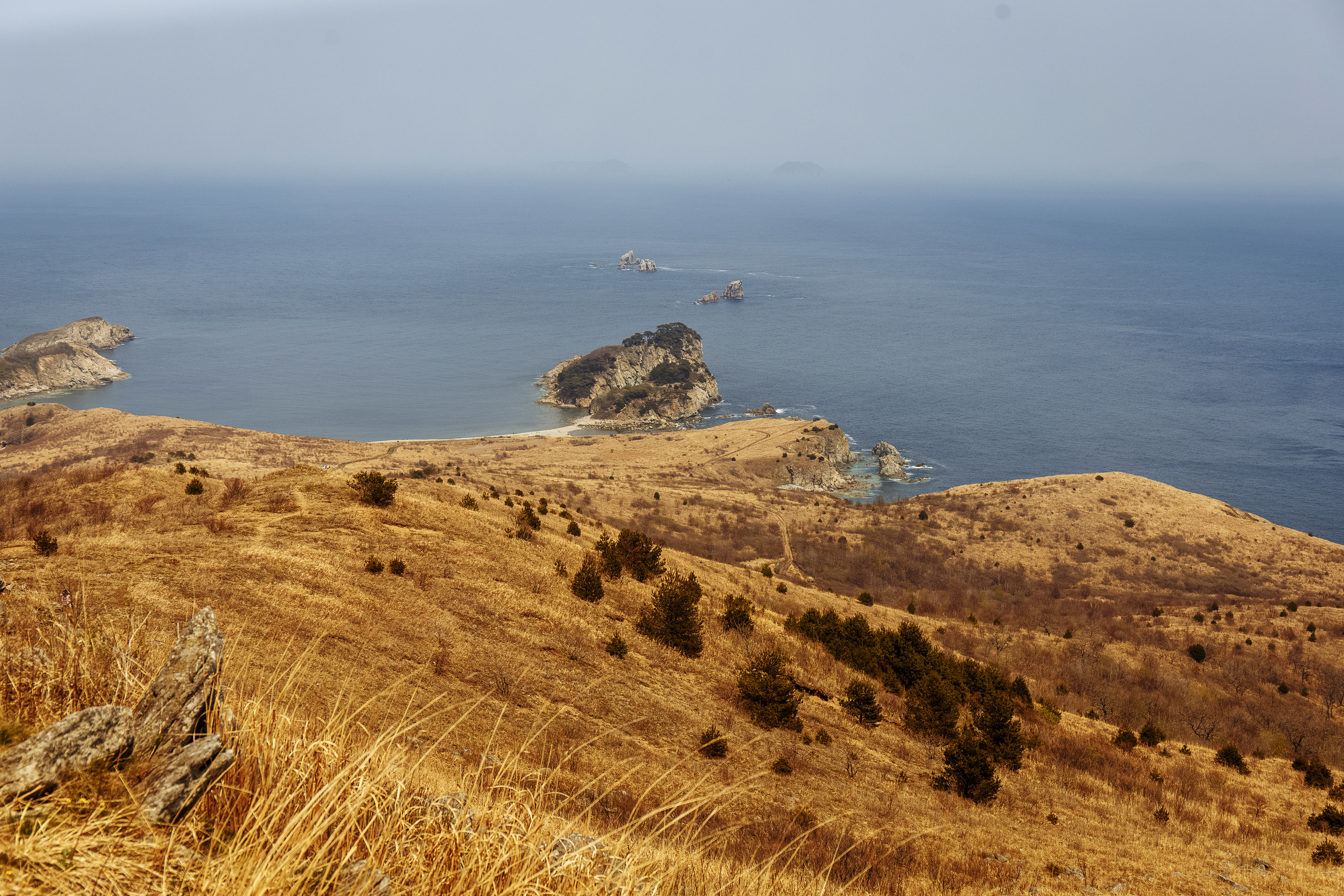 Разное. Портретный фотограф, Славянка