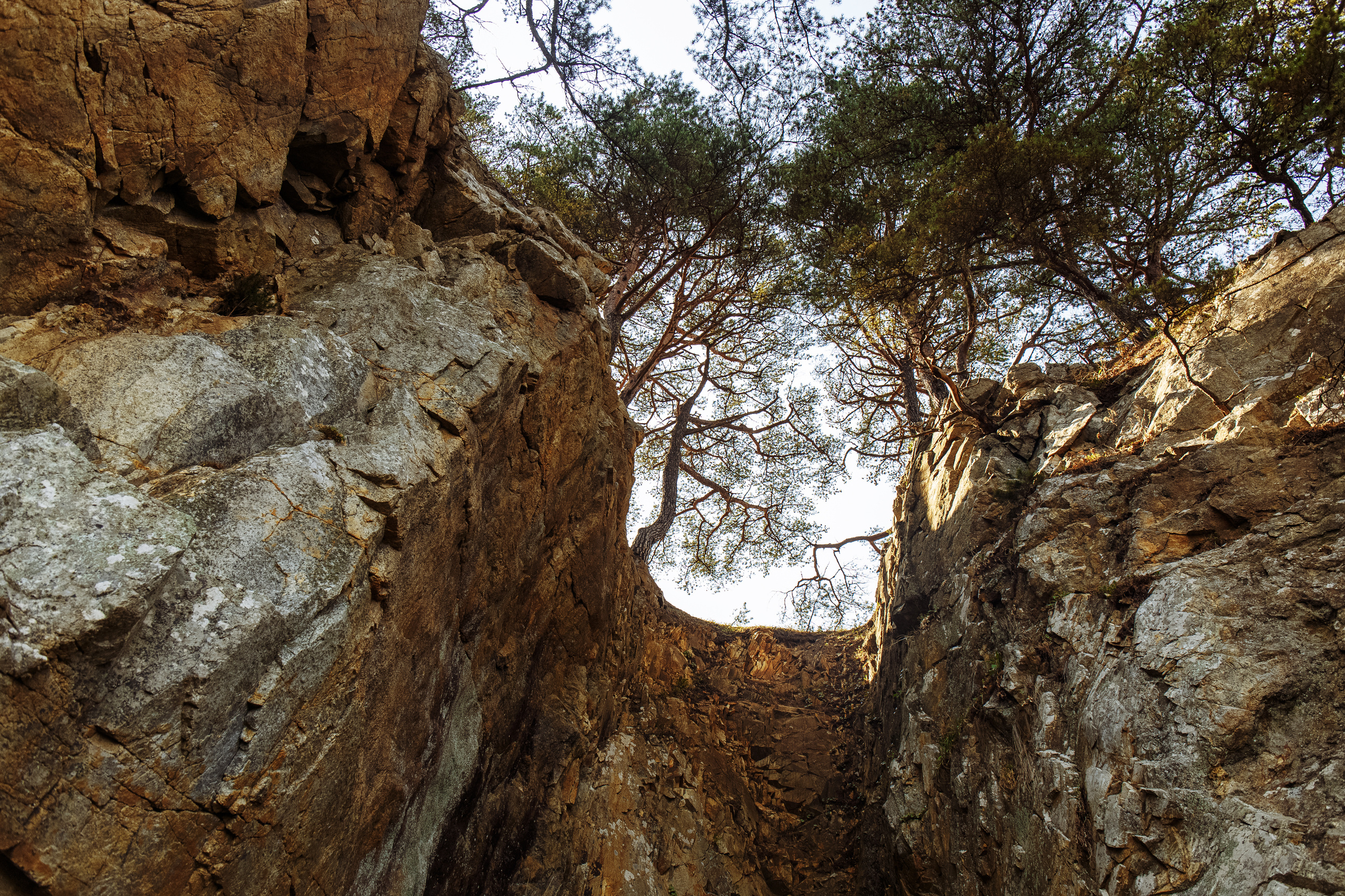 Разное. Портретный фотограф, Славянка