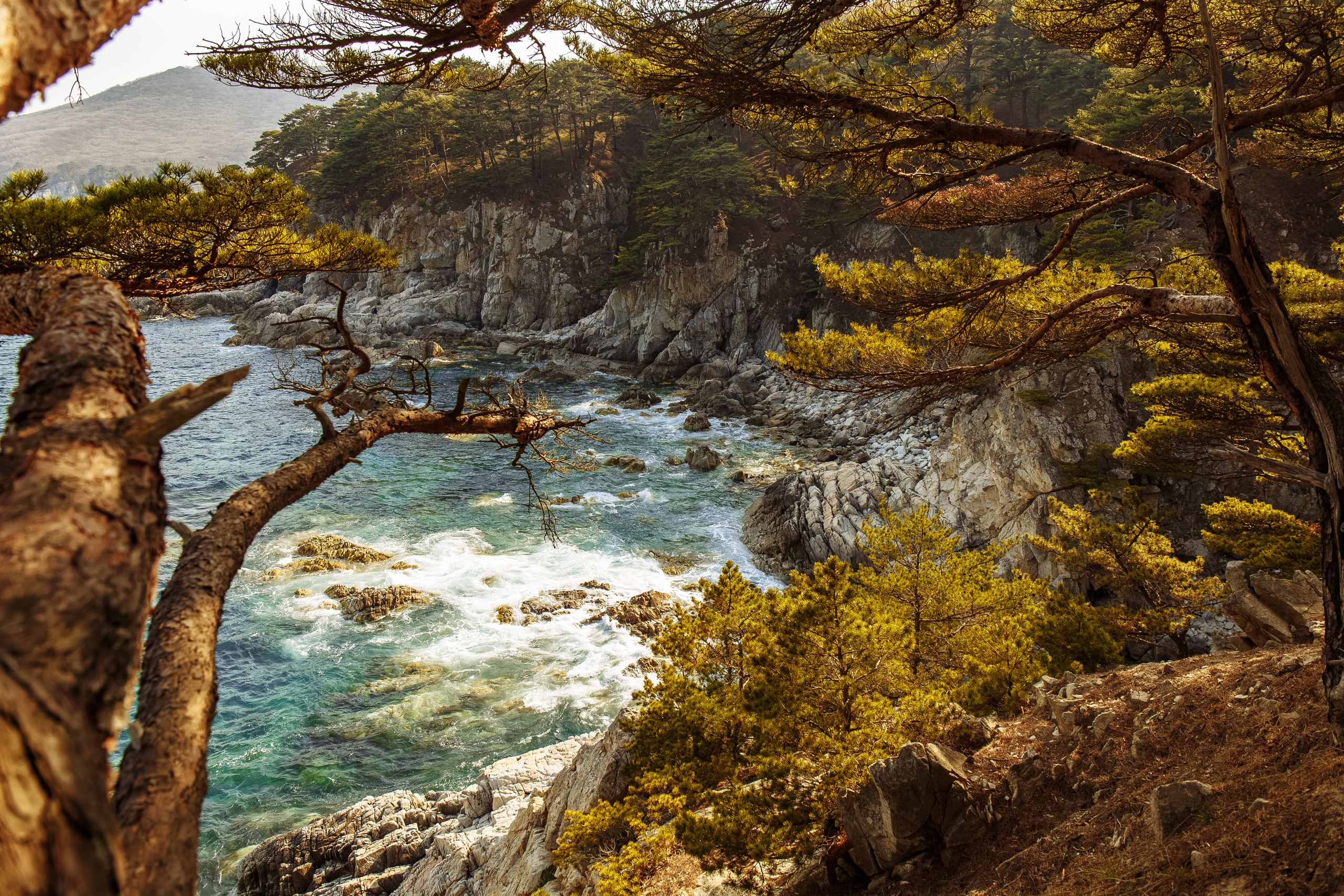 Разное. Портретный фотограф, Славянка
