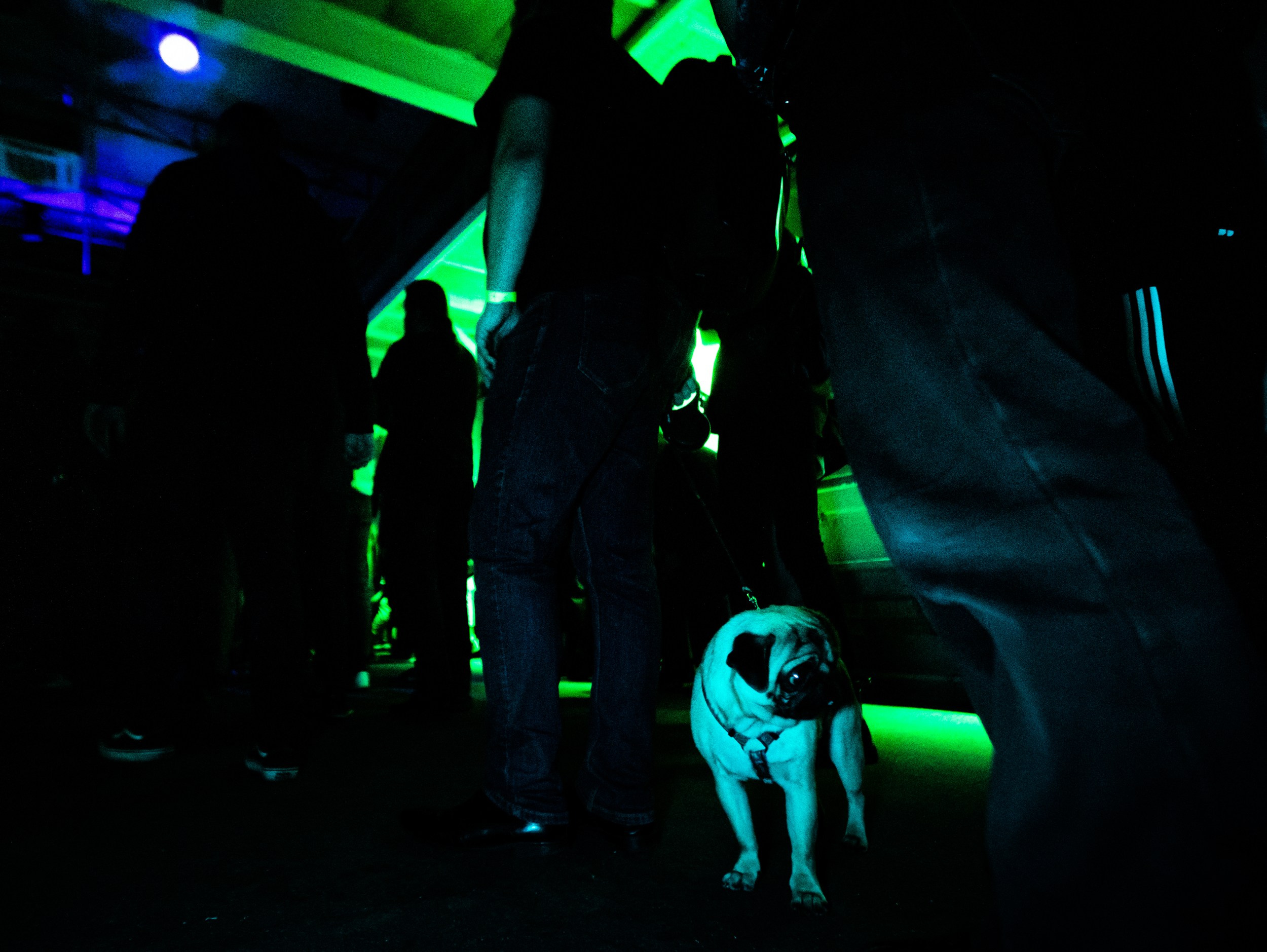 Роад трип TRNA СПБ-Москва 2021. Фотограф Мария Немм