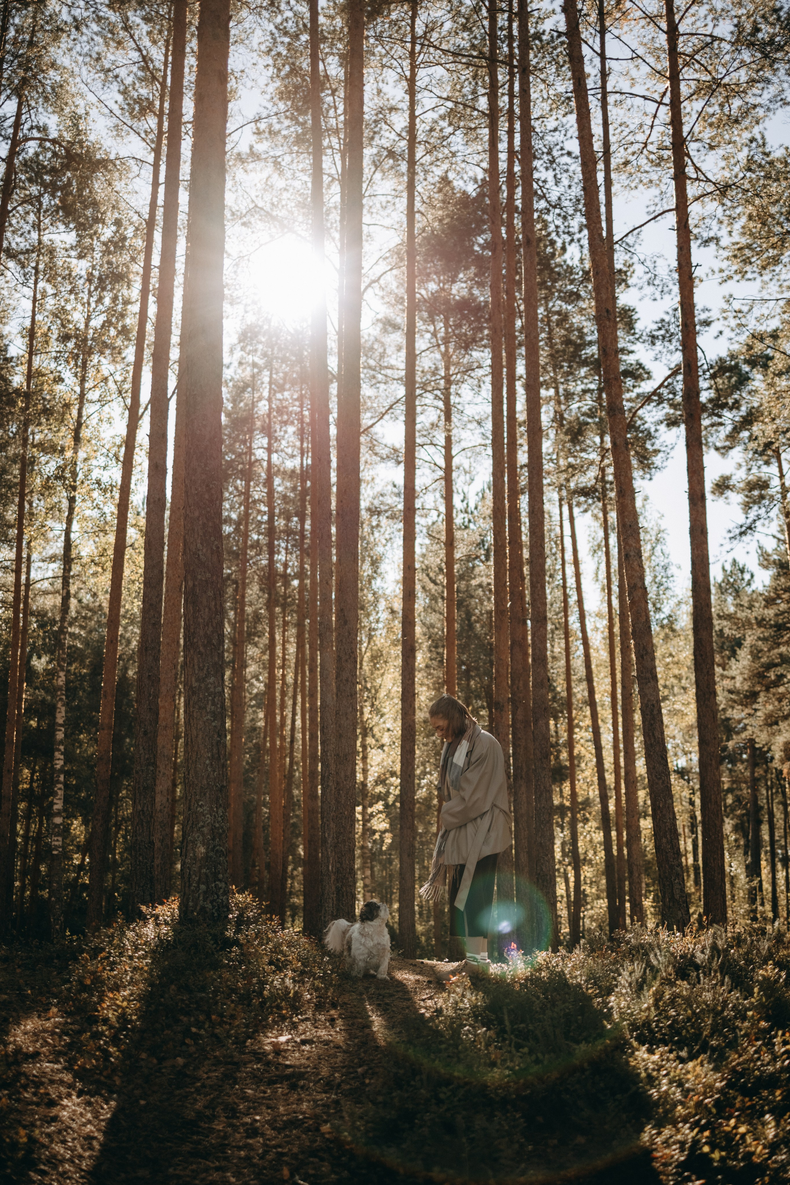 Настя и Франт. Фотограф — Анималист | Санкт-Петербург