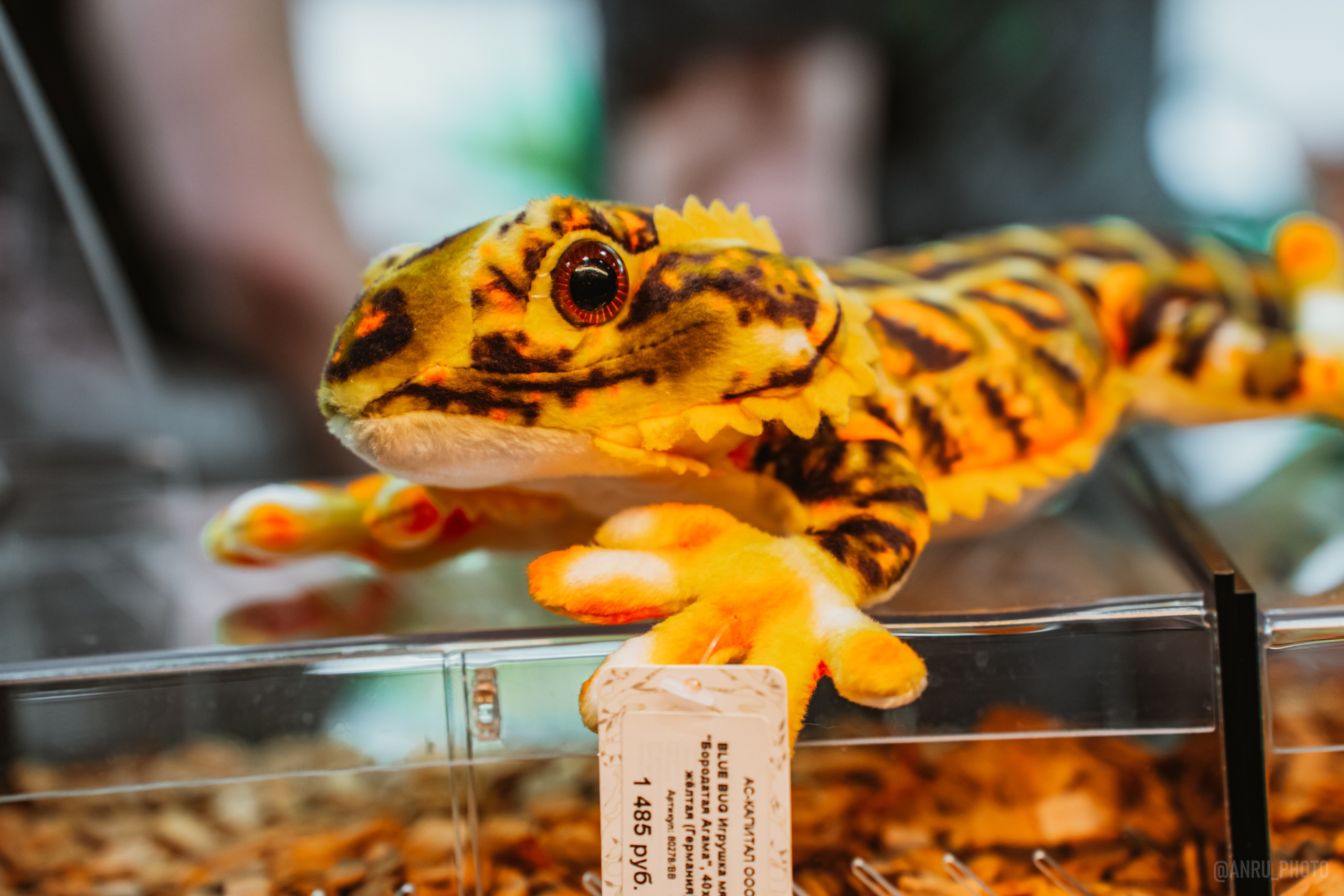 Рептилиум (ручная работа). Репортажный фотограф Анастасия Рубцова