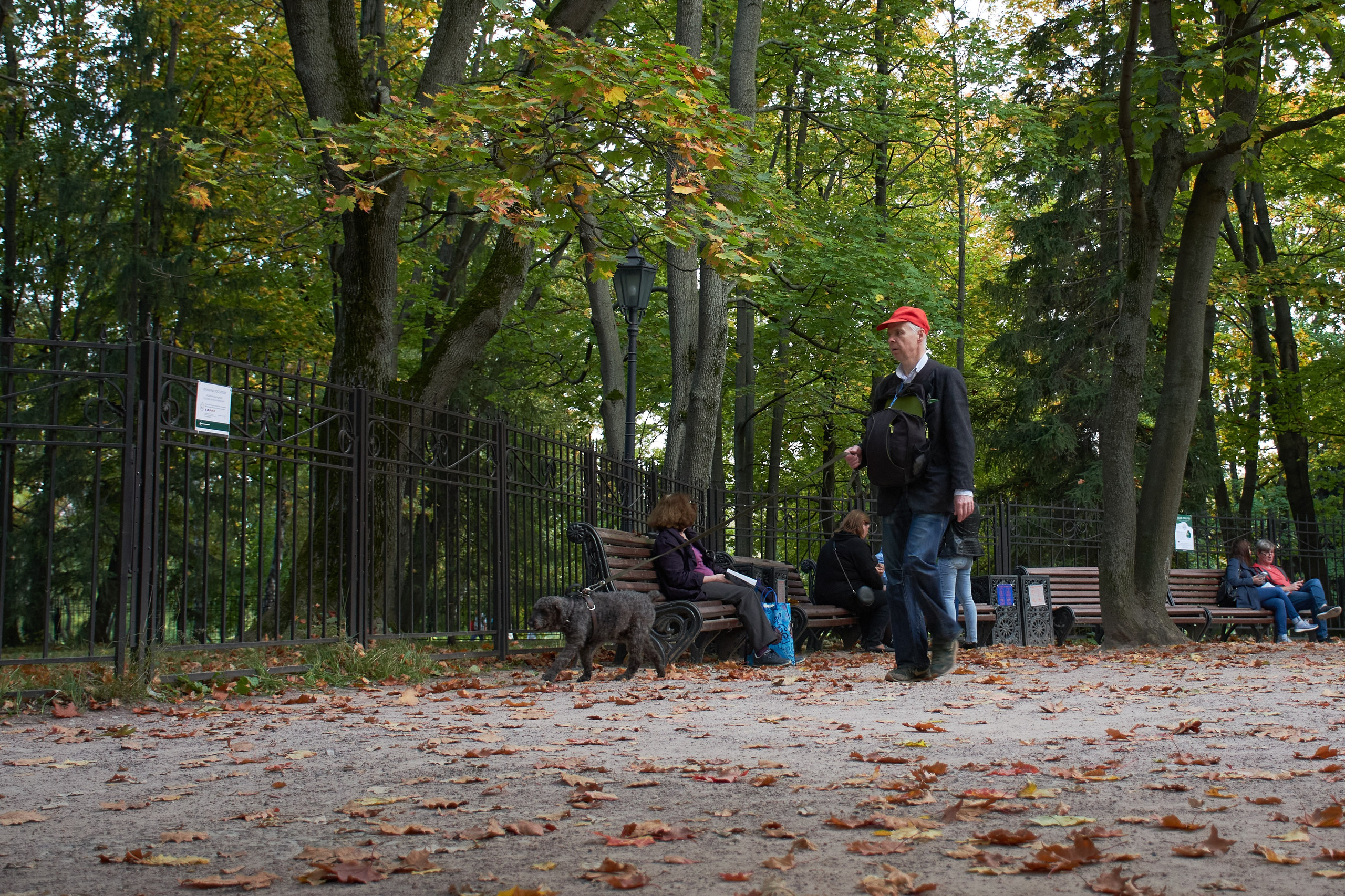 20200927 Коломенское. Дмитрий Ремизов. Фотография, как хобби