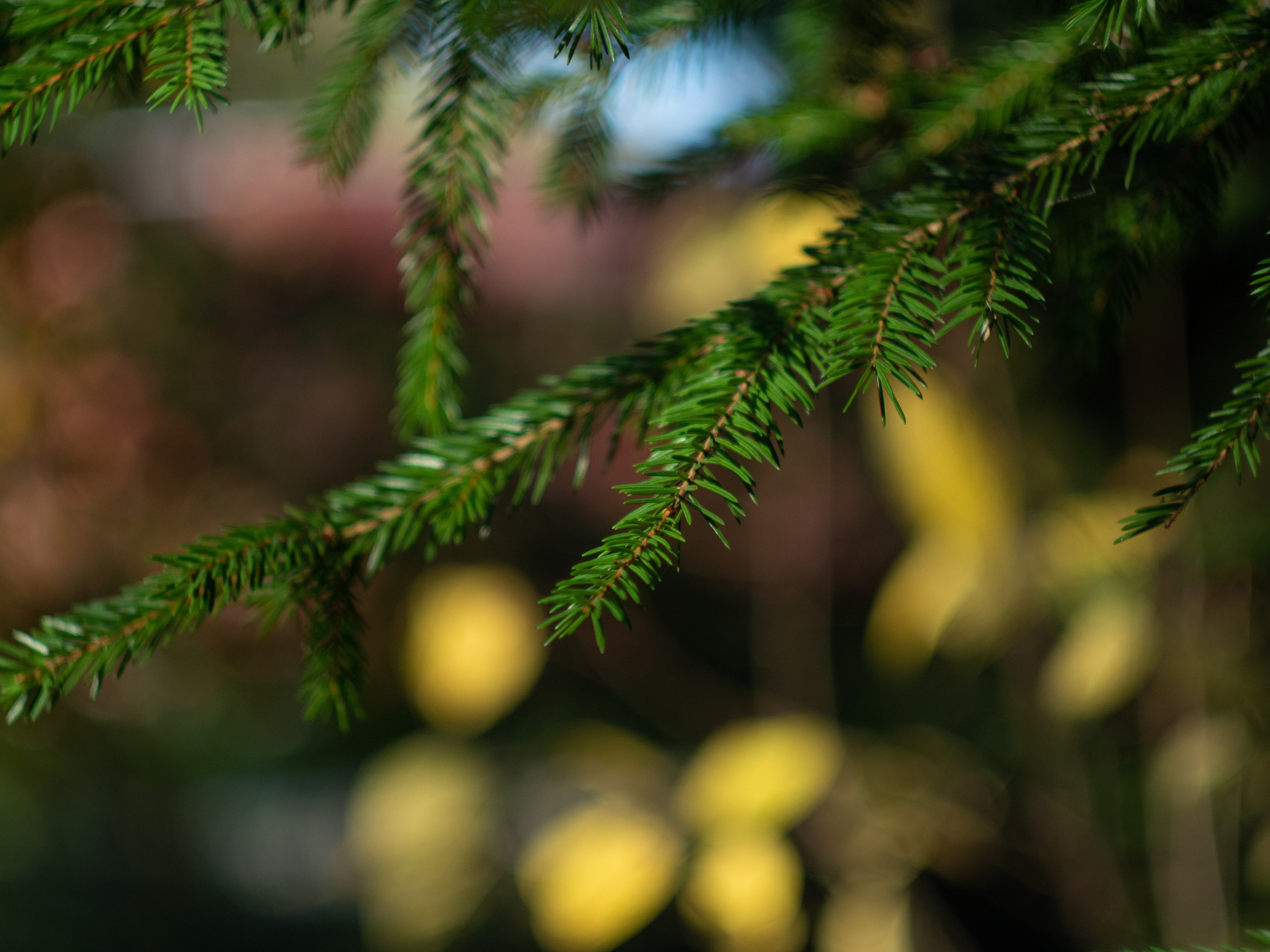20230923-25 Родники. Дмитрий Ремизов. Фотография, как хобби