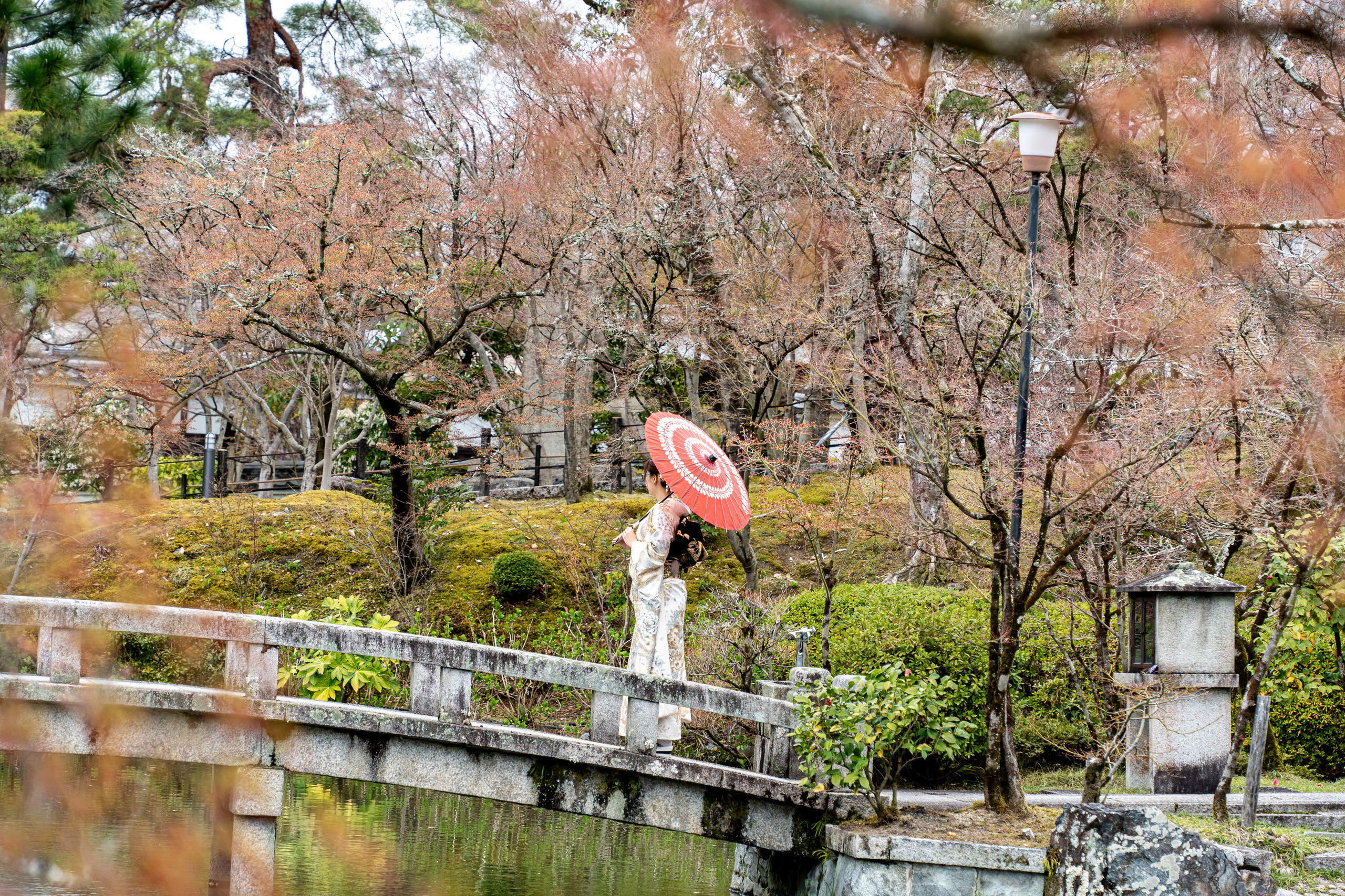 Япония, сакура. Творческие сьемки