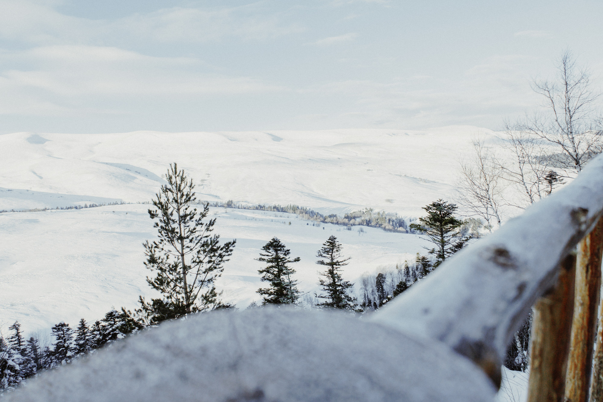 Адыгея. Лаго-Наки 27.01.24. Фотограф katya_vkadre Таганрог