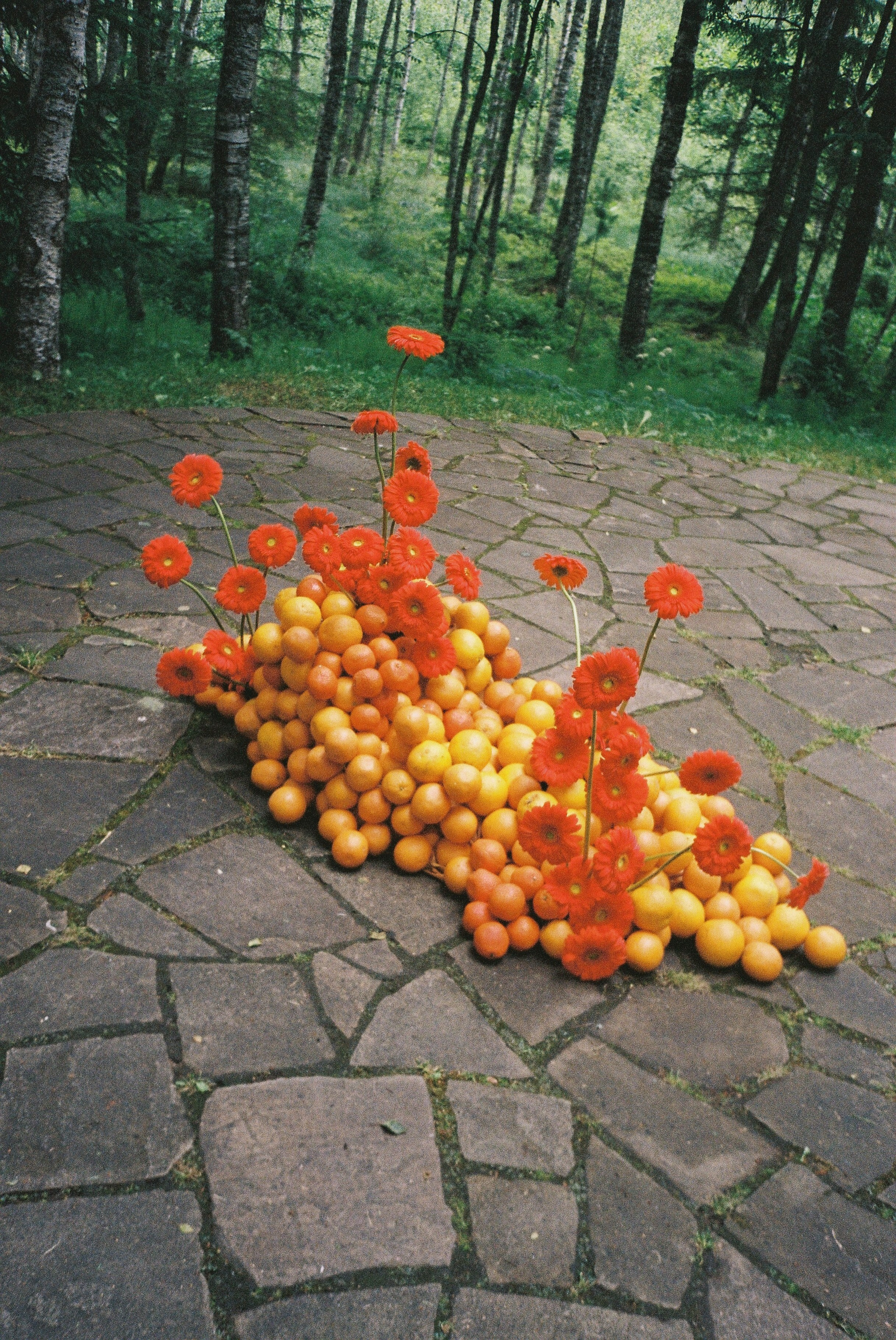 Диана & Серж. Свадебное агентство WedStories agency