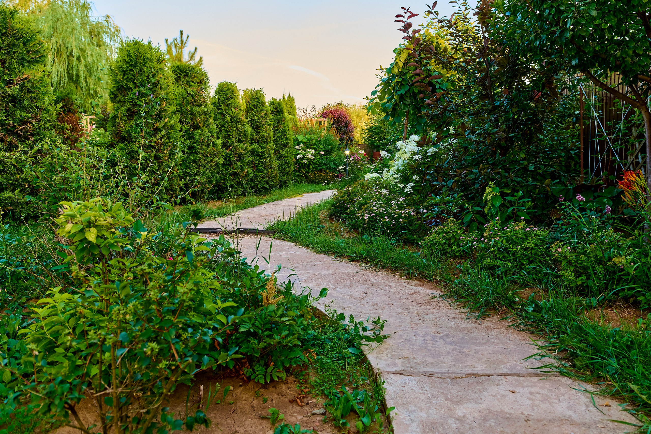 Фотосъёмка ландшафтных рабт