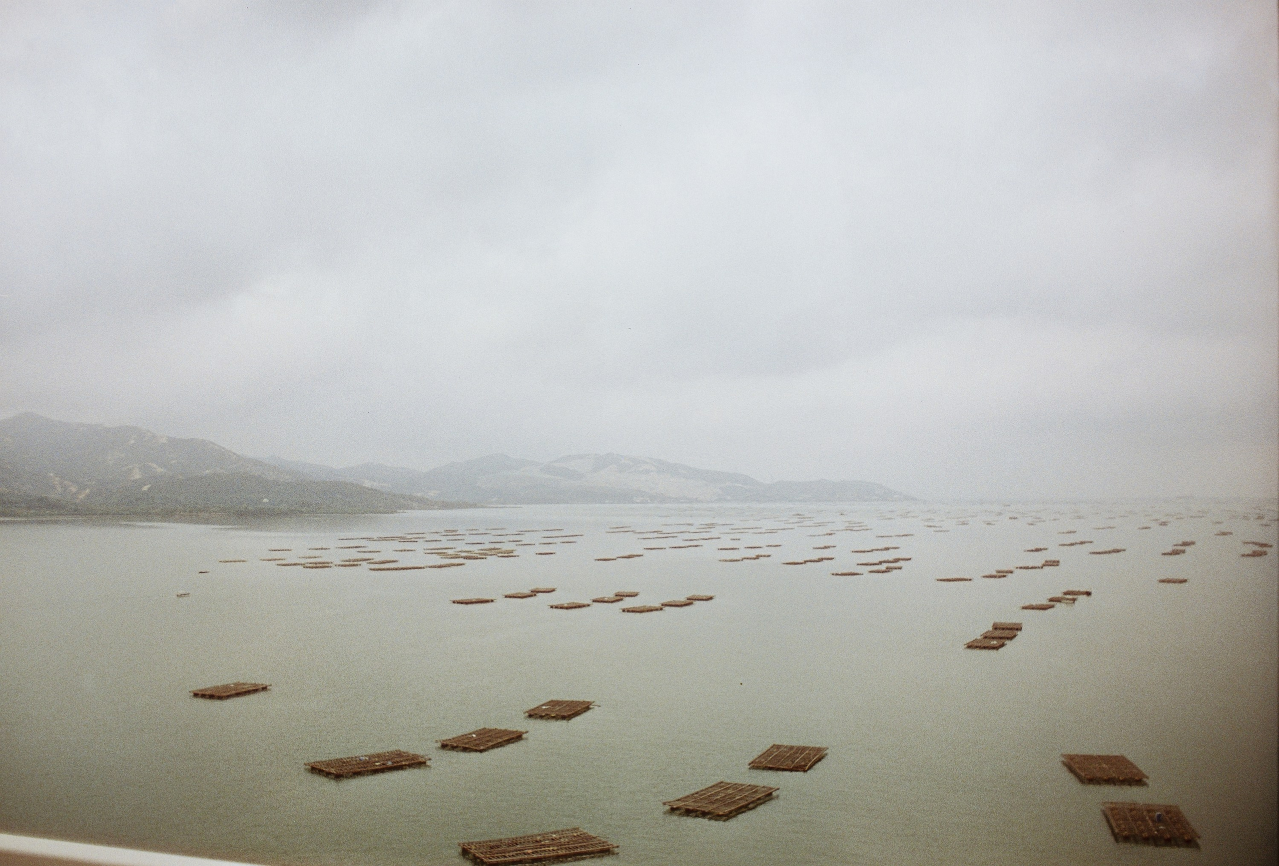 Пленочная фотография в Москве