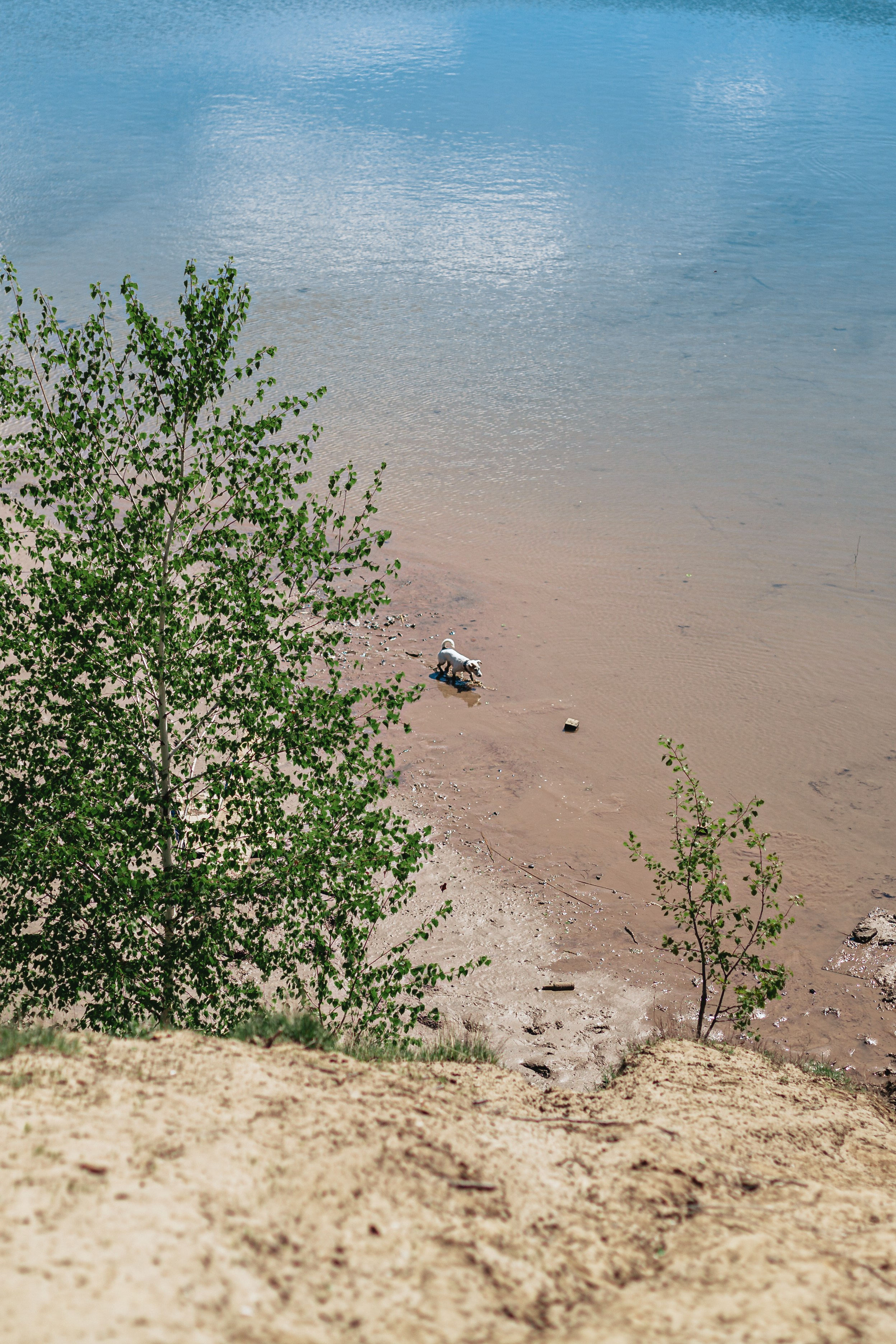 Кондуки. Фотограф-анималист Татьяна Степанова