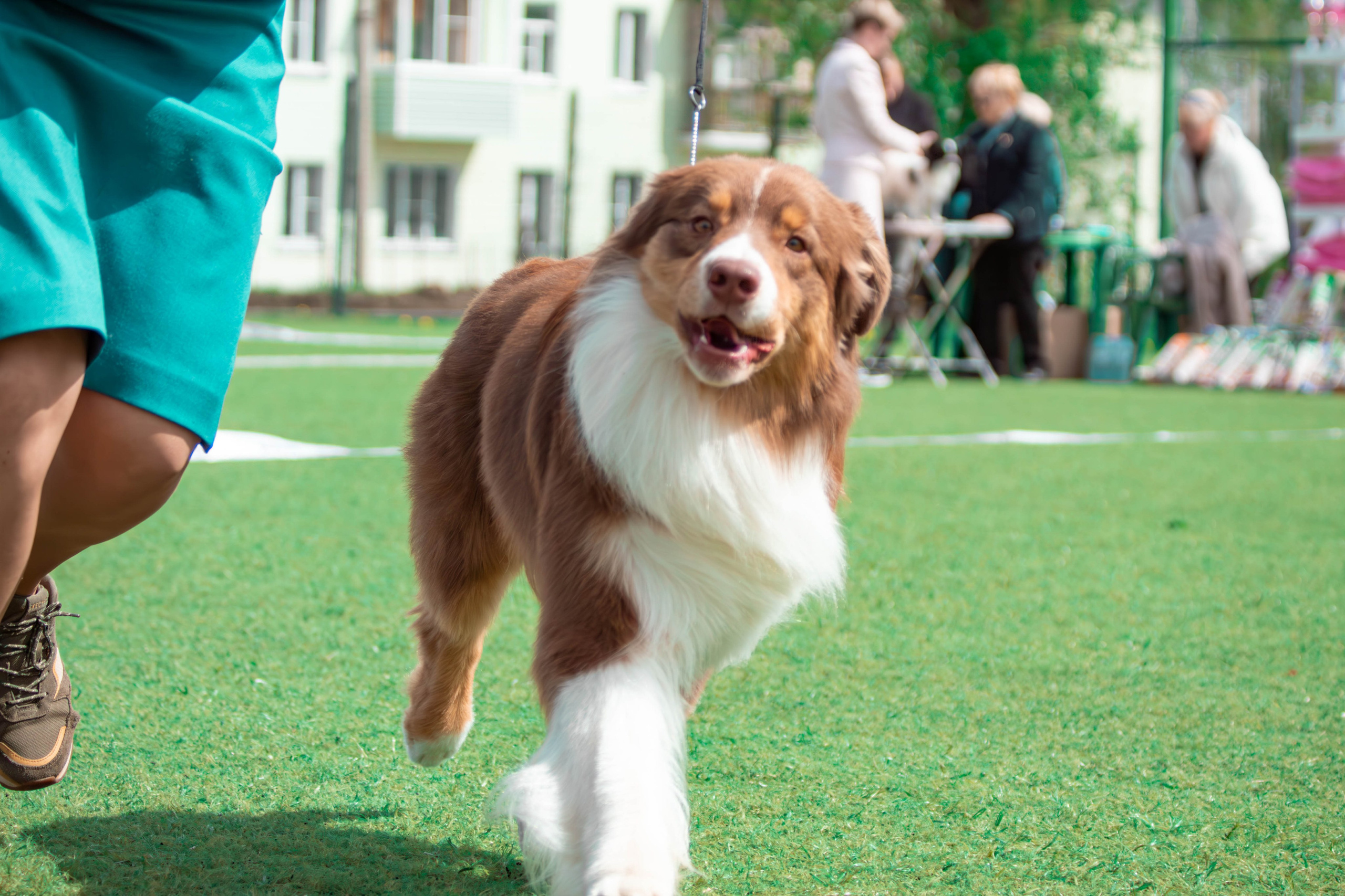 Натали Уорнер фотограф Тула 