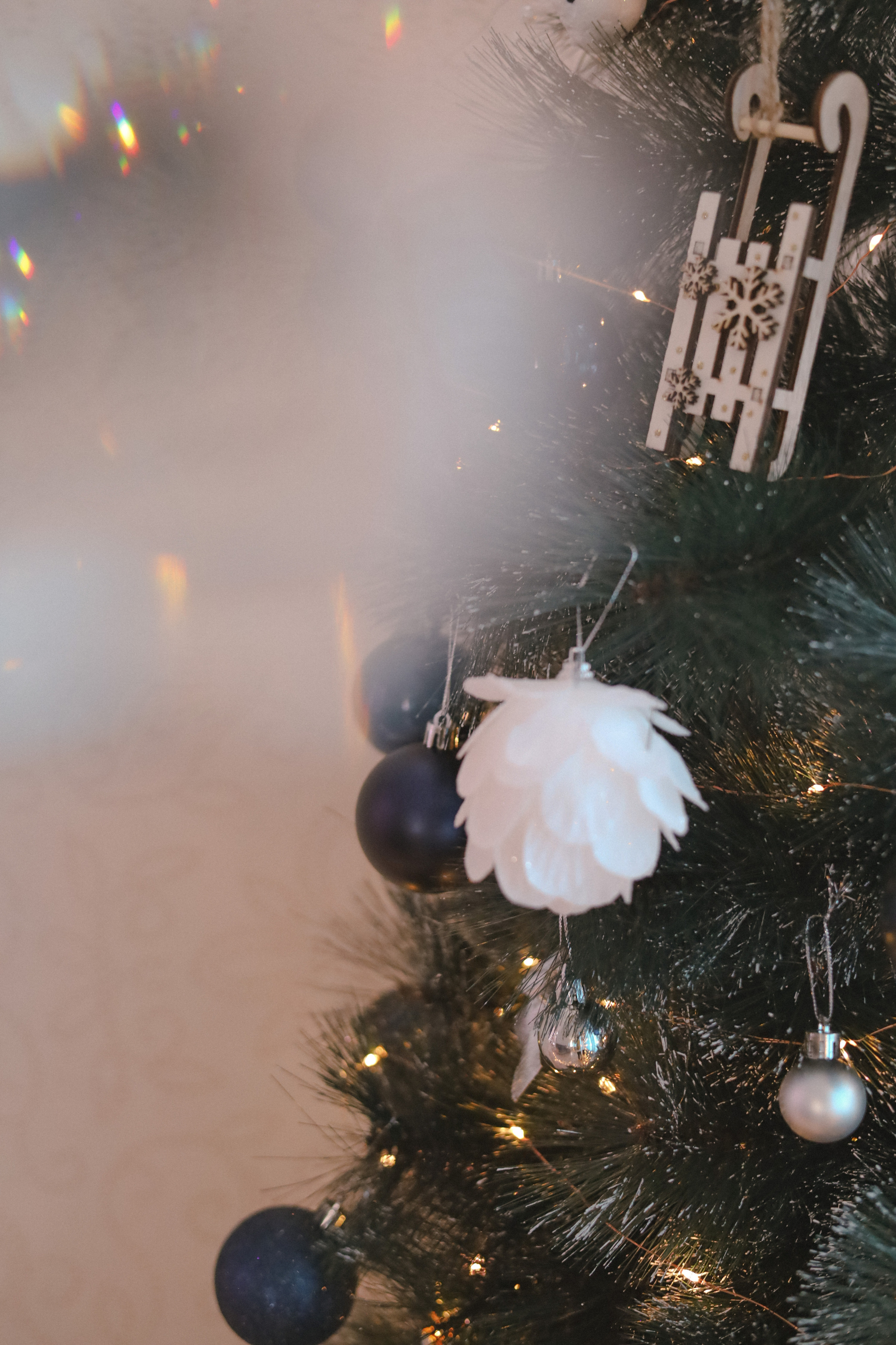 Настя, Ярослав и Котики. Фотограф Нестратенко Станислав г. Шилка, г. Чита