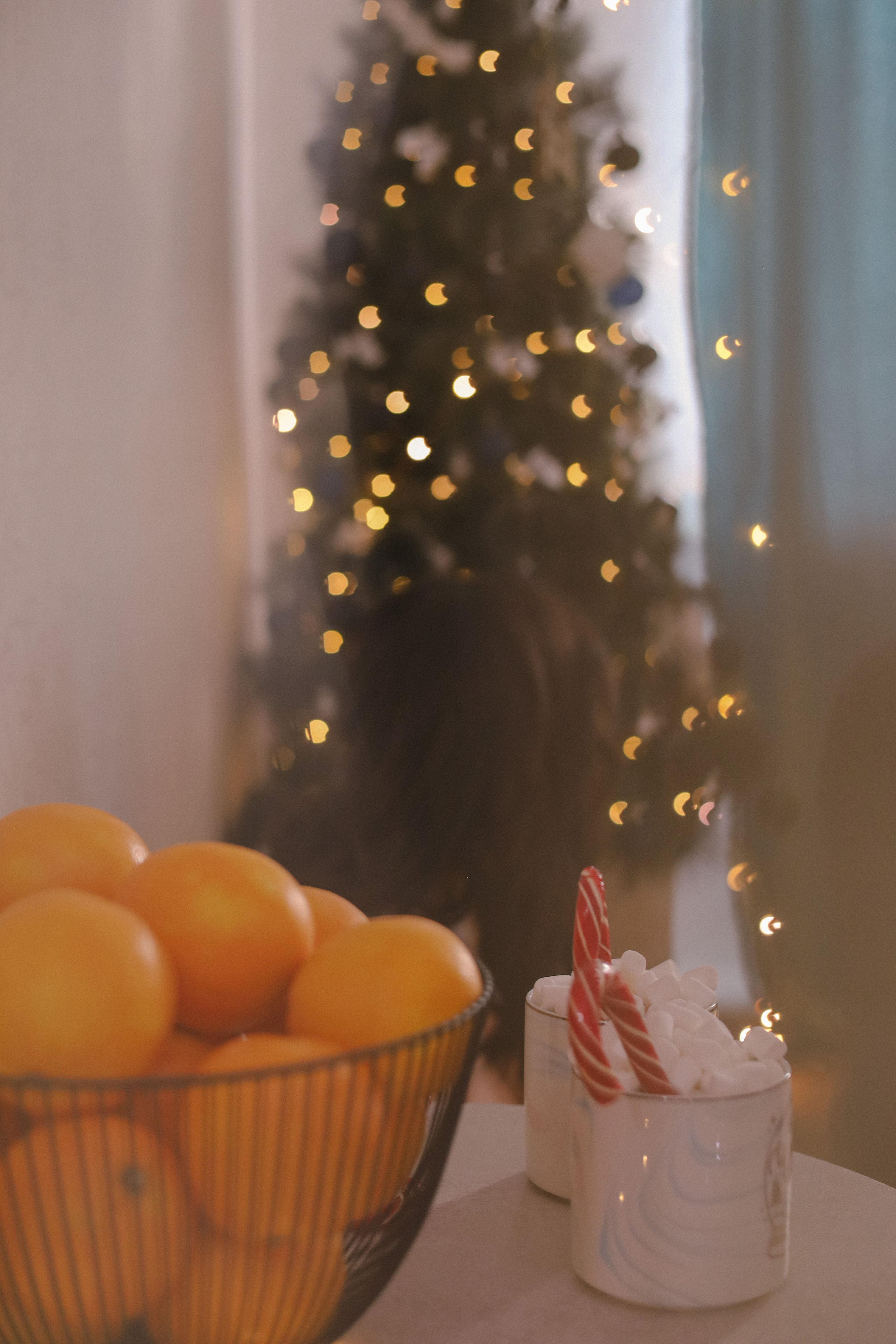 Настя, Ярослав и Котики. Фотограф Нестратенко Станислав г. Шилка, г. Чита