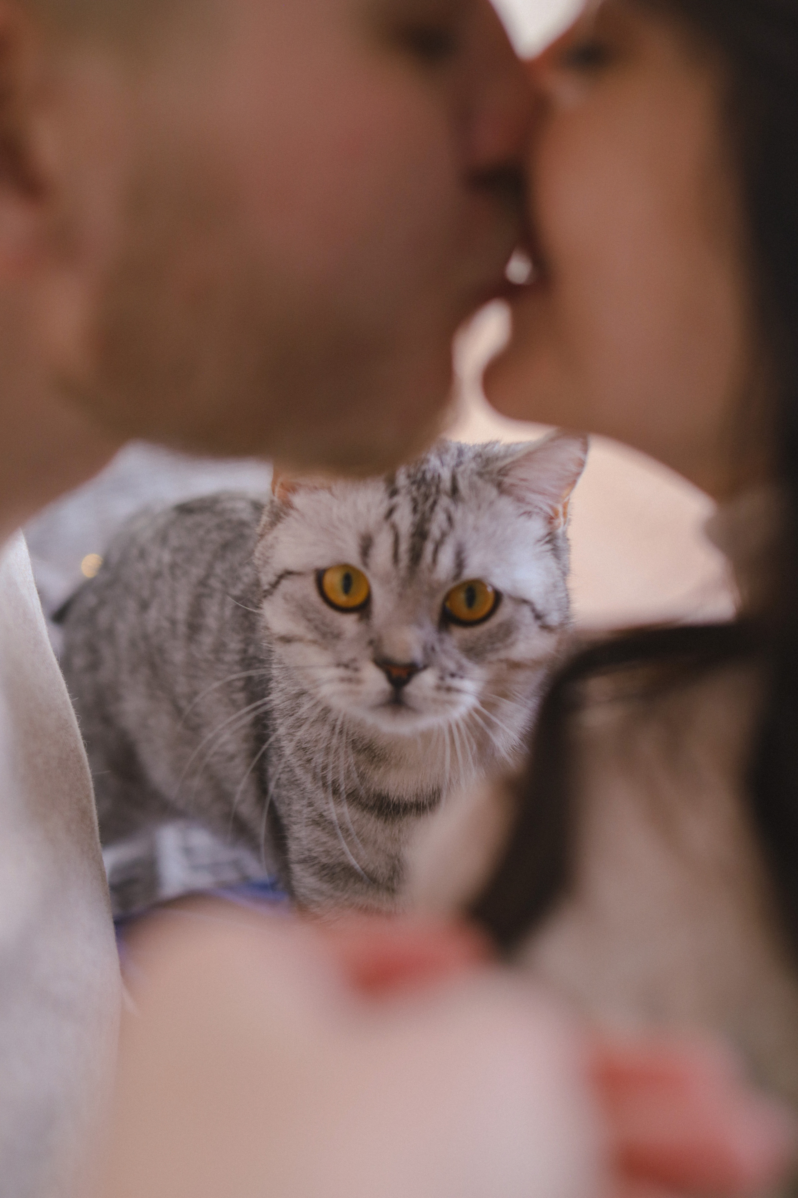 Настя, Ярослав и Котики. Фотограф Нестратенко Станислав г. Шилка, г. Чита