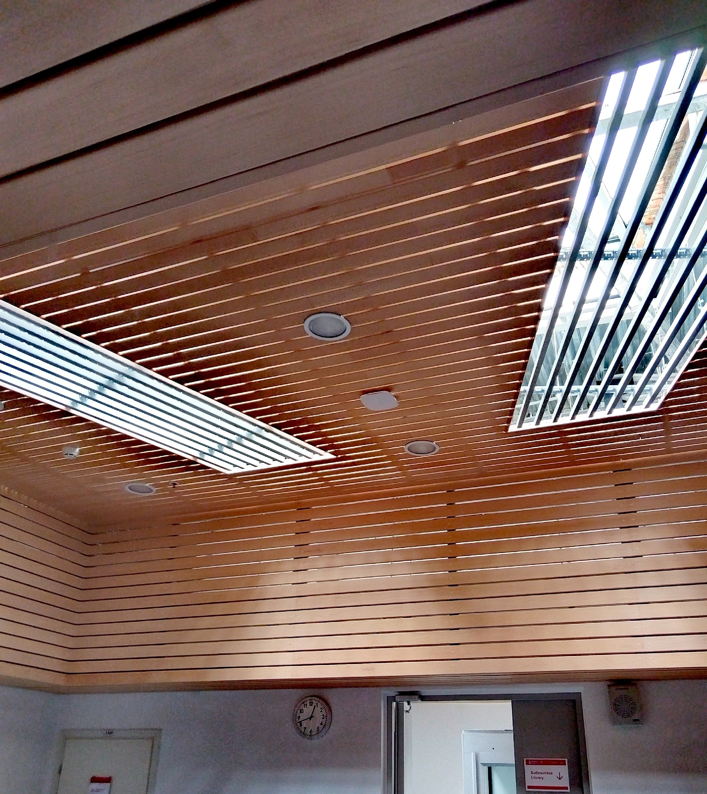 Экскурсия «по кампусу СПБГУ «Михайловская дача» (02.08.2025) Автор: Марина Чумакова