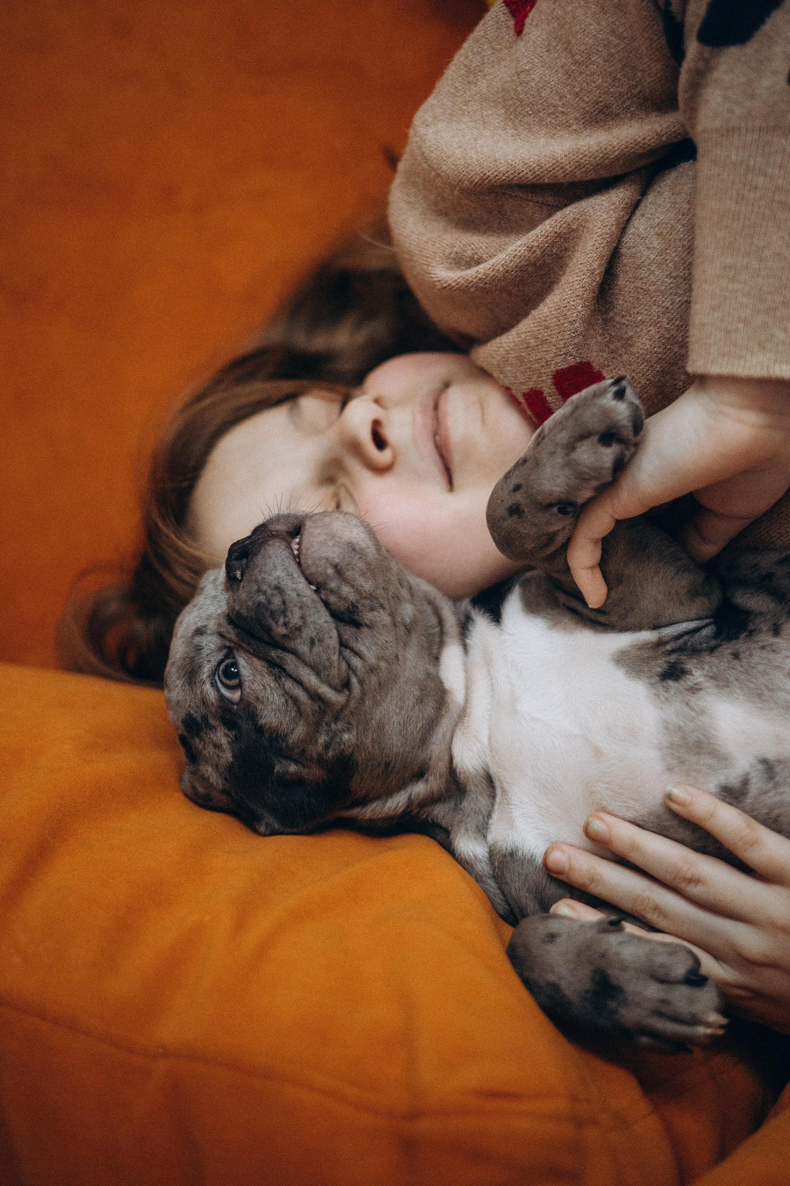 Семейная для Ксюши. Фотограф — Анималист | Санкт-Петербург