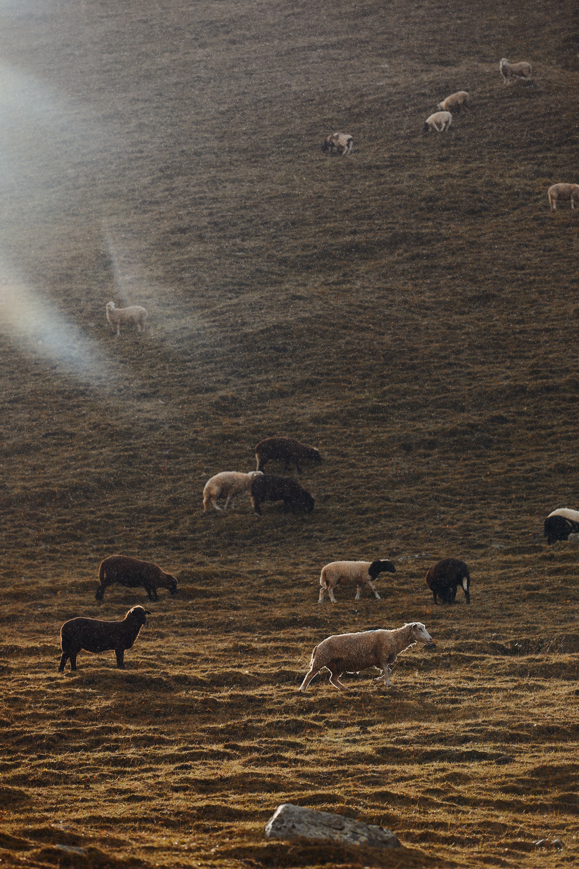 Озеро Гийбашкель. Фотограф Продюсер в горах КБР / Москва  Нальчик Горы