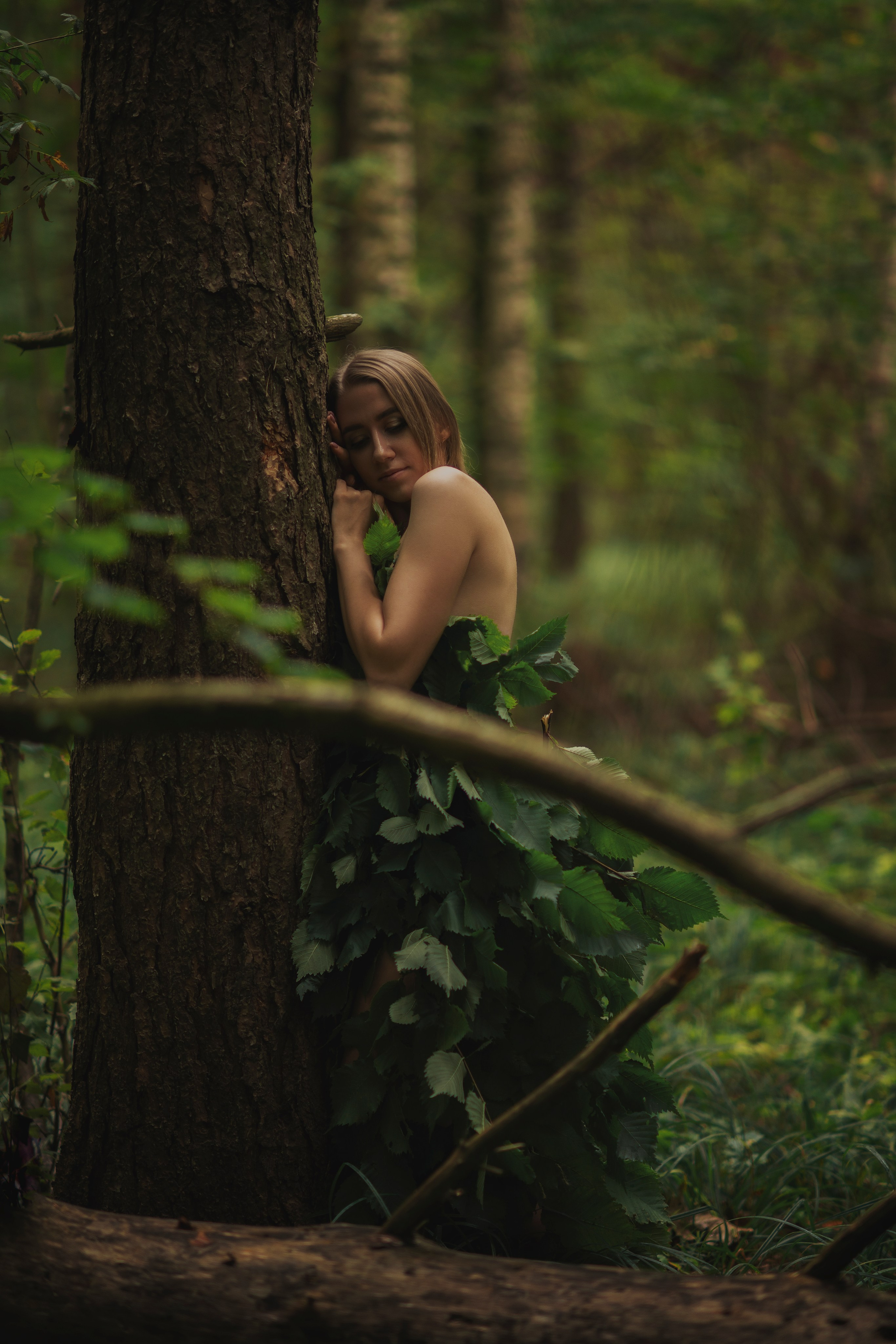 Лесная сказка