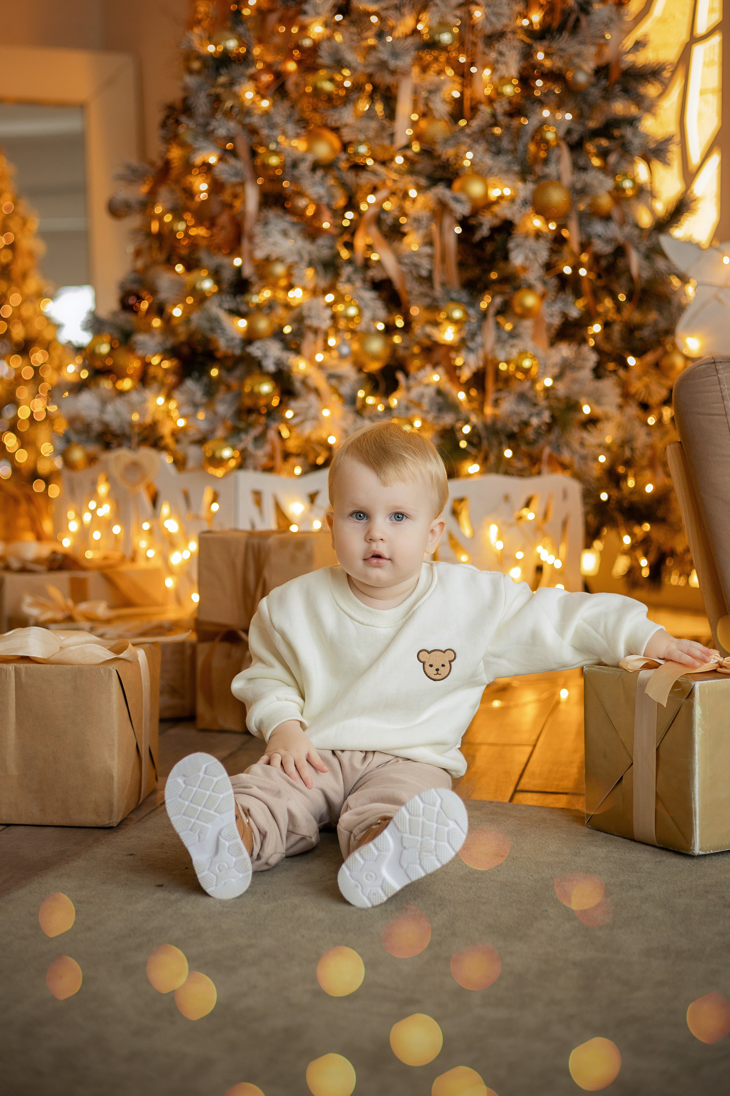 Семейная новогодняя история. Зал Норд. Фотограф Ульянкина Мария