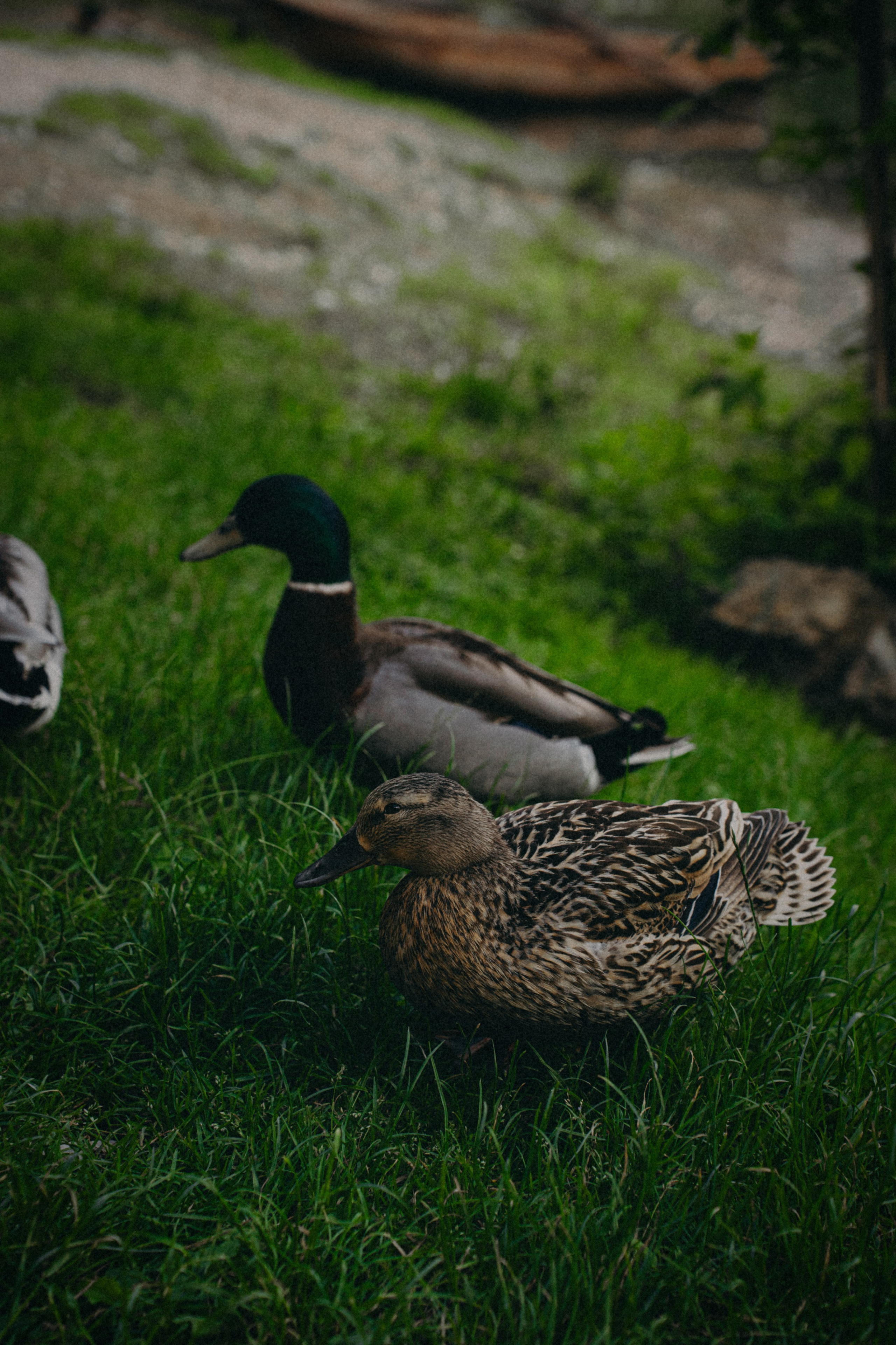 14. Фотограф Батуми | Ксения Кинасова