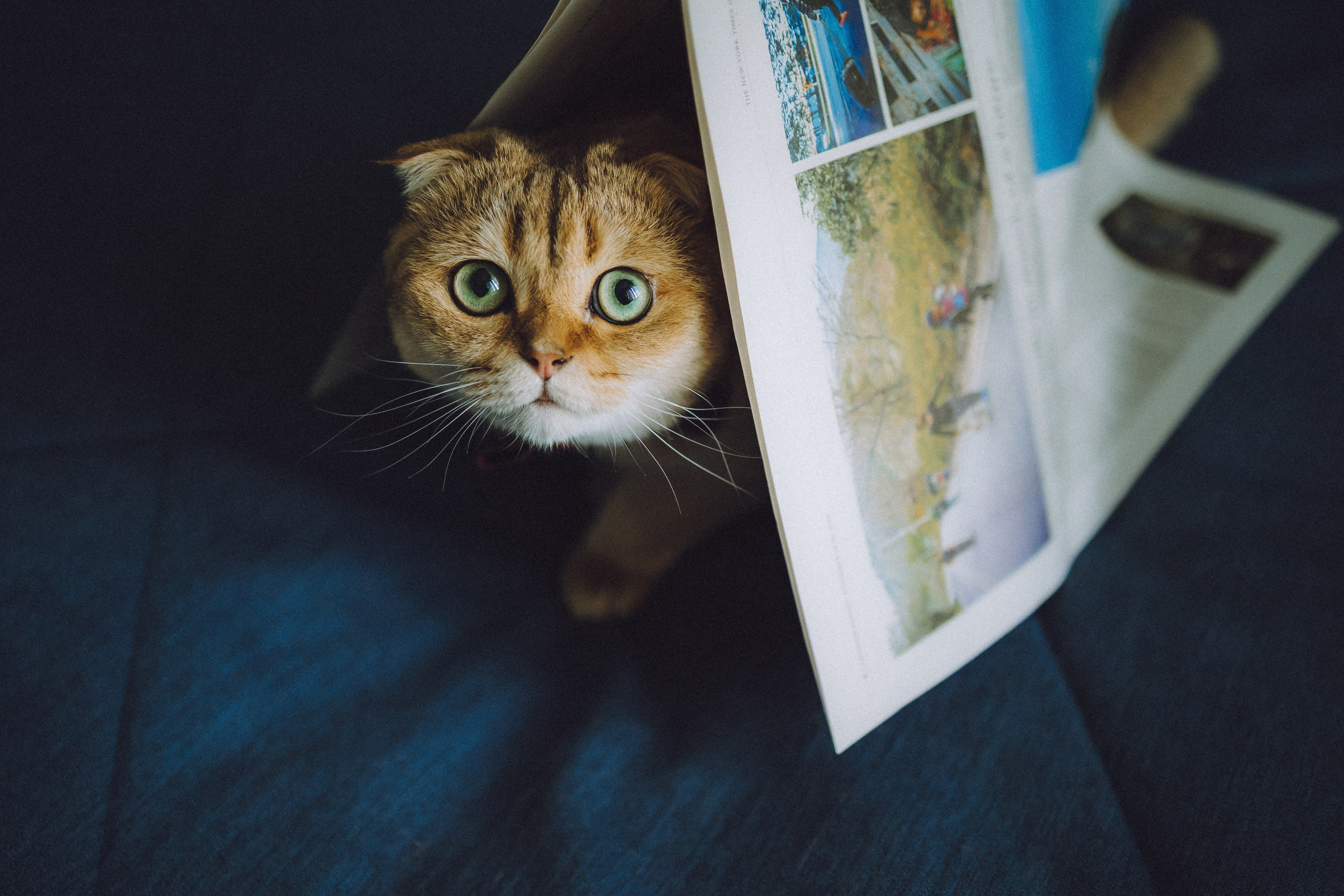 Генри и его семья