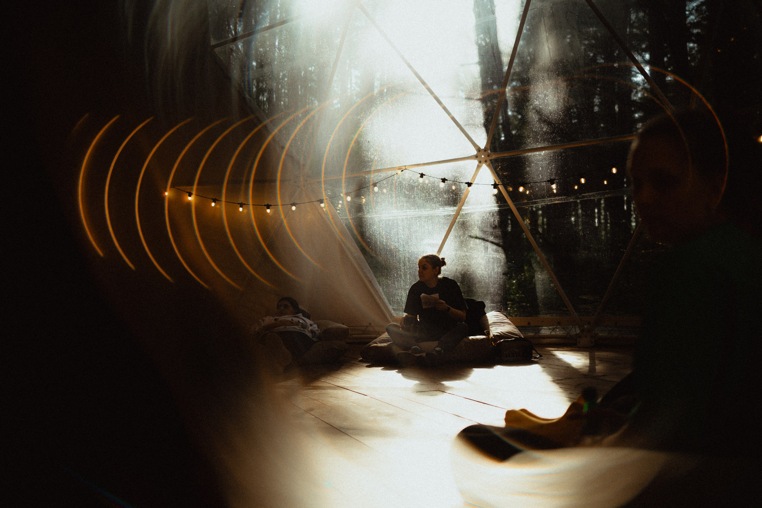 Выездной дог-тренинг от школы «Шерсть имею»