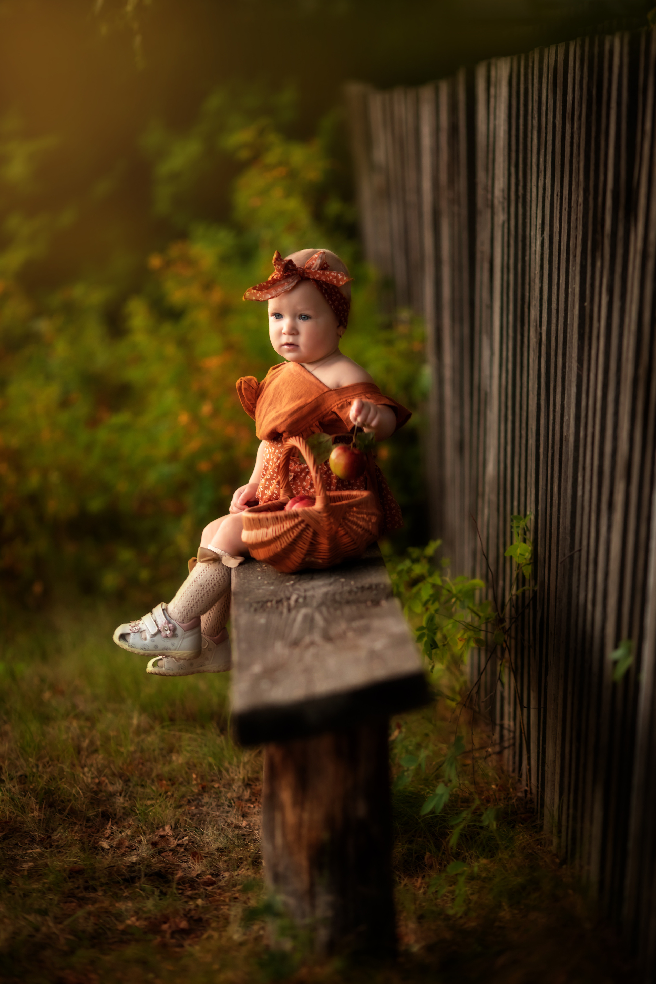 Августовский вечер. Olga.filippova.photo